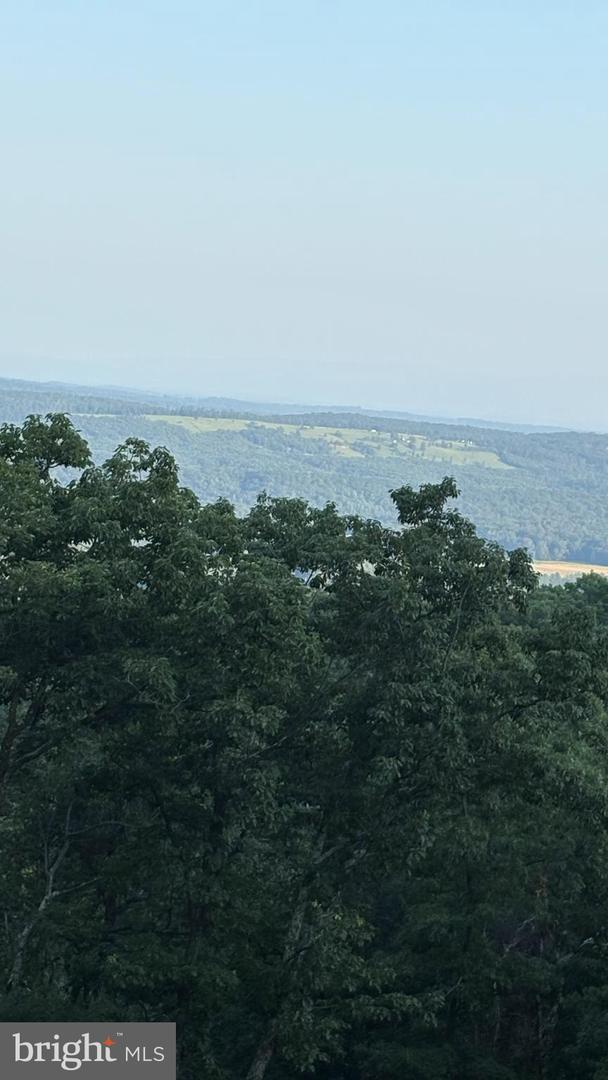 LOT 103 DOGWOOD TRL, WINCHESTER, Virginia 22602, ,Land,For sale,LOT 103 DOGWOOD TRL,VAFV2037752 MLS # VAFV2037752