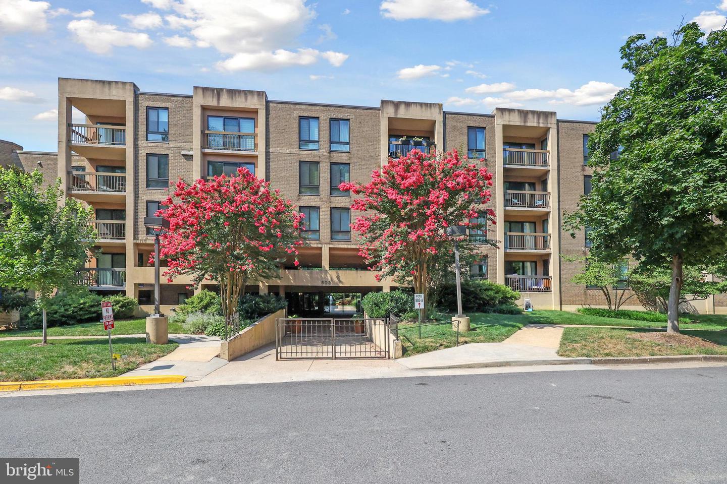 803 N HOWARD ST #252, ALEXANDRIA, Virginia 22304, 2 Bedrooms Bedrooms, ,2 BathroomsBathrooms,Residential,For sale,803 N HOWARD ST #252,VAAX2047748 MLS # VAAX2047748 803 N HOWARD ST #252, ALEXANDRIA, Virginia 22304, 2 Bedrooms Bedrooms, ,2 BathroomsBathrooms,Residential,For sale,803 N HOWARD ST #252,VAAX2047748 MLS # VAAX2047748