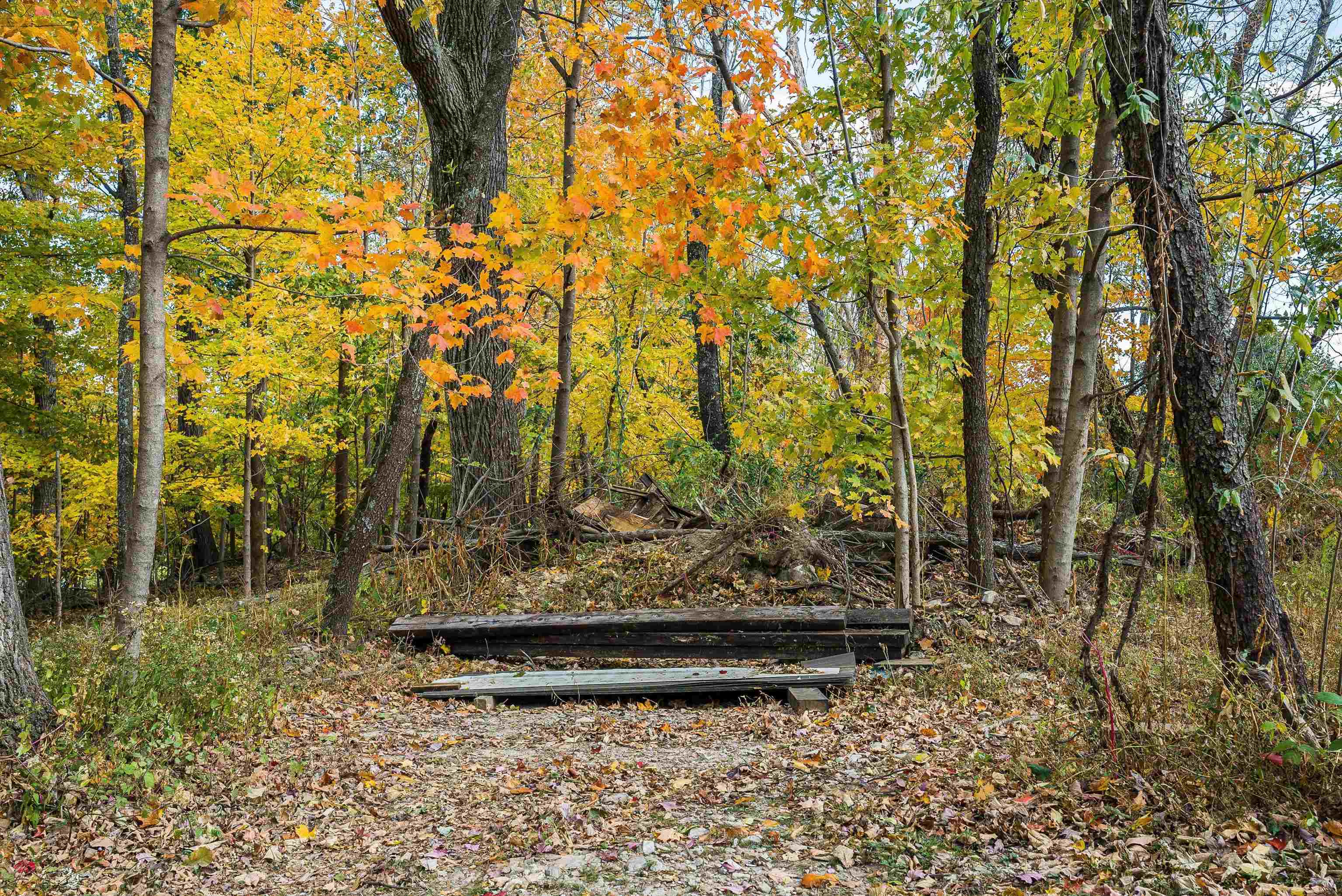 8499 COPPERHEAD RD, SINGERS GLEN, Virginia 22830, 4 Bedrooms Bedrooms, ,3 BathroomsBathrooms,Residential,8499 COPPERHEAD RD,670554 MLS # 670554 8499 COPPERHEAD RD, SINGERS GLEN, Virginia 22830, 4 Bedrooms Bedrooms, ,3 BathroomsBathrooms,Residential,8499 COPPERHEAD RD,670554 MLS # 670554
