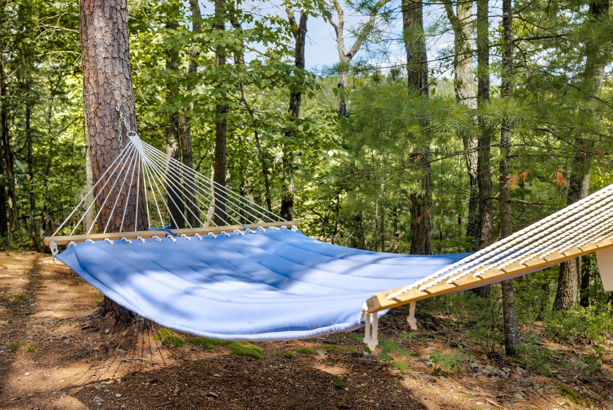 491 S MAPLE RD, MOUNT JACKSON, Virginia 22842, 2 Bedrooms Bedrooms, ,1 BathroomBathrooms,Residential,491 S MAPLE RD,670558 MLS # 670558 491 S MAPLE RD, MOUNT JACKSON, Virginia 22842, 2 Bedrooms Bedrooms, ,1 BathroomBathrooms,Residential,491 S MAPLE RD,670558 MLS # 670558