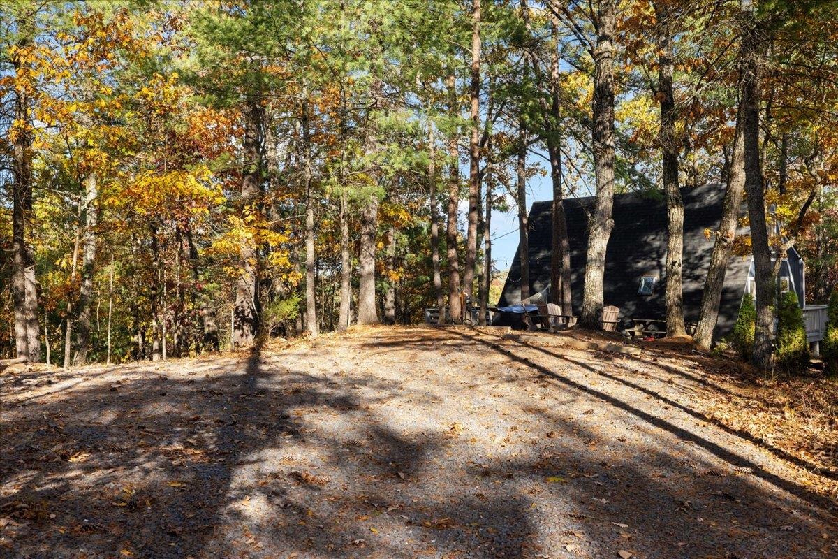 491 S MAPLE RD, MOUNT JACKSON, Virginia 22842, 2 Bedrooms Bedrooms, ,1 BathroomBathrooms,Residential,491 S MAPLE RD,670558 MLS # 670558 491 S MAPLE RD, MOUNT JACKSON, Virginia 22842, 2 Bedrooms Bedrooms, ,1 BathroomBathrooms,Residential,491 S MAPLE RD,670558 MLS # 670558