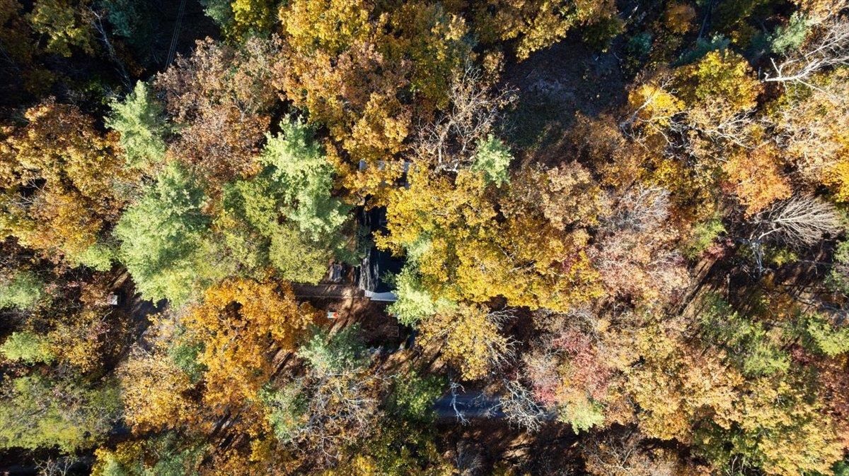 491 S MAPLE RD, MOUNT JACKSON, Virginia 22842, 2 Bedrooms Bedrooms, ,1 BathroomBathrooms,Residential,491 S MAPLE RD,670558 MLS # 670558 491 S MAPLE RD, MOUNT JACKSON, Virginia 22842, 2 Bedrooms Bedrooms, ,1 BathroomBathrooms,Residential,491 S MAPLE RD,670558 MLS # 670558