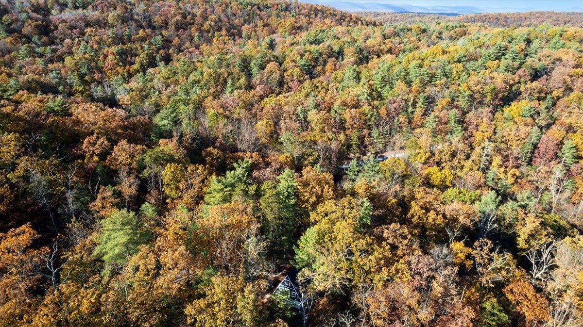 491 S MAPLE RD, MOUNT JACKSON, Virginia 22842, 2 Bedrooms Bedrooms, ,1 BathroomBathrooms,Residential,491 S MAPLE RD,670558 MLS # 670558 491 S MAPLE RD, MOUNT JACKSON, Virginia 22842, 2 Bedrooms Bedrooms, ,1 BathroomBathrooms,Residential,491 S MAPLE RD,670558 MLS # 670558