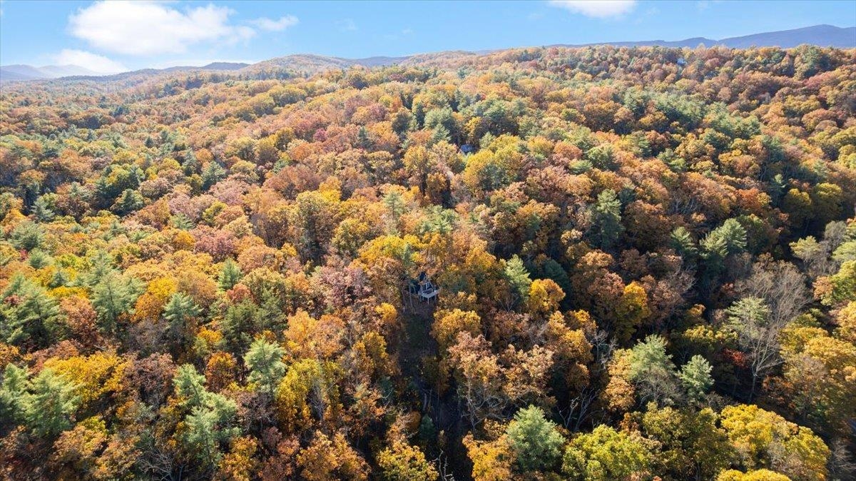 491 S MAPLE RD, MOUNT JACKSON, Virginia 22842, 2 Bedrooms Bedrooms, ,1 BathroomBathrooms,Residential,491 S MAPLE RD,670558 MLS # 670558 491 S MAPLE RD, MOUNT JACKSON, Virginia 22842, 2 Bedrooms Bedrooms, ,1 BathroomBathrooms,Residential,491 S MAPLE RD,670558 MLS # 670558