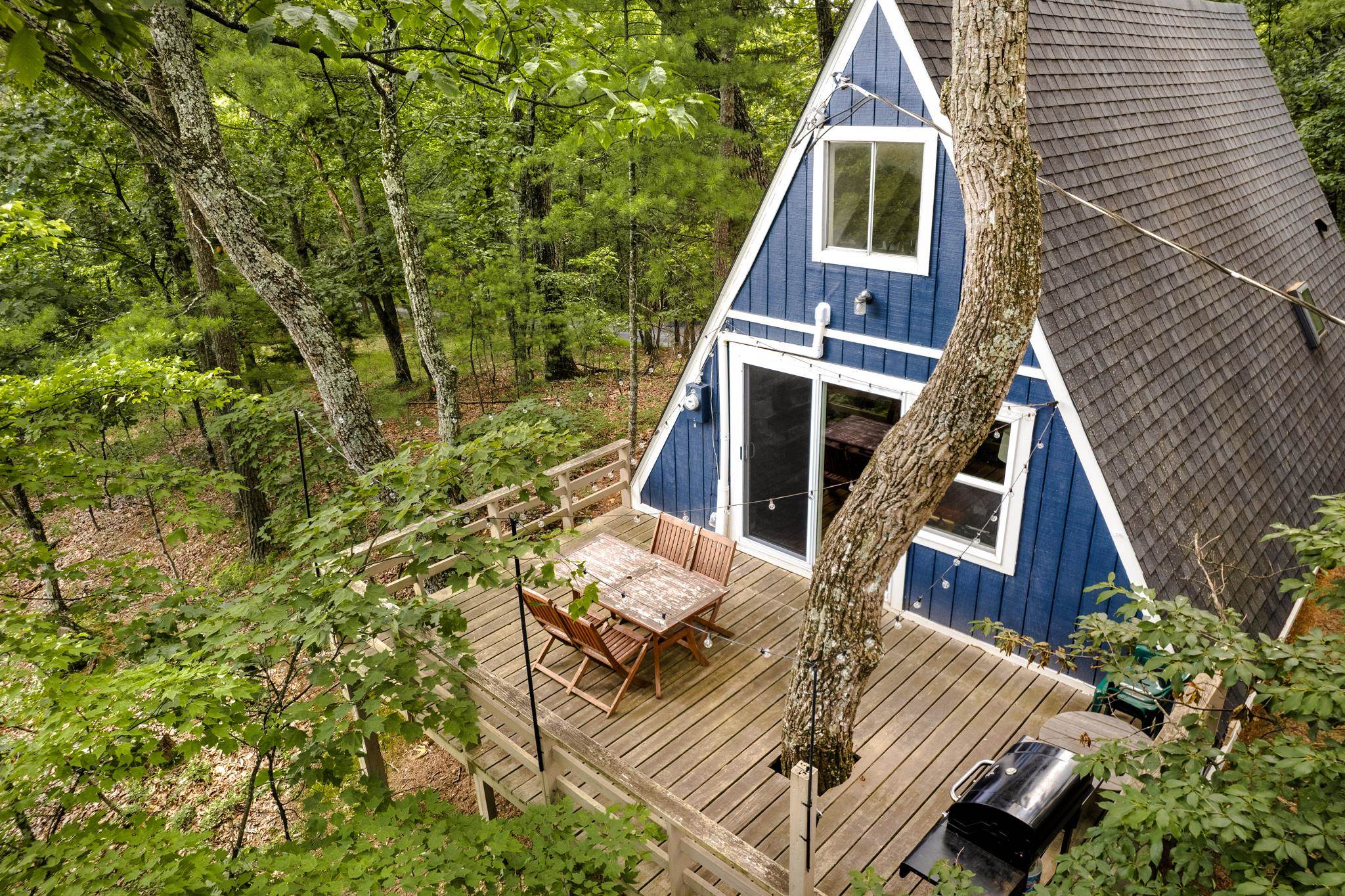 491 S MAPLE RD, MOUNT JACKSON, Virginia 22842, 2 Bedrooms Bedrooms, ,1 BathroomBathrooms,Residential,491 S MAPLE RD,670558 MLS # 670558 491 S MAPLE RD, MOUNT JACKSON, Virginia 22842, 2 Bedrooms Bedrooms, ,1 BathroomBathrooms,Residential,491 S MAPLE RD,670558 MLS # 670558