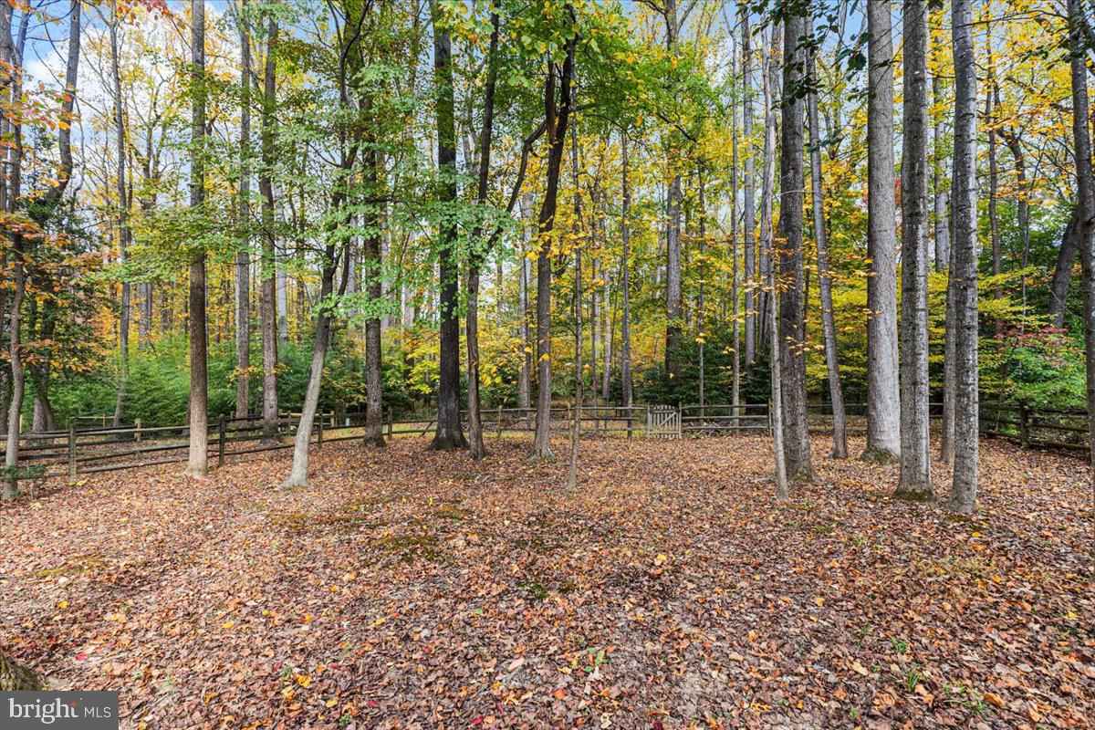 12388 COPENHAGEN CT, RESTON, Virginia 20191, 4 Bedrooms Bedrooms, ,3 BathroomsBathrooms,Residential,For sale,12388 COPENHAGEN CT,VAFX2274104 MLS # VAFX2274104 12388 COPENHAGEN CT, RESTON, Virginia 20191, 4 Bedrooms Bedrooms, ,3 BathroomsBathrooms,Residential,For sale,12388 COPENHAGEN CT,VAFX2274104 MLS # VAFX2274104