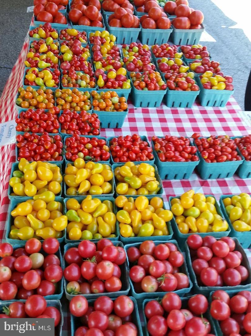 1348 UNDERWOOD ST NW, WASHINGTON, District Of Columbia 20012, 4 Bedrooms Bedrooms, ,3 BathroomsBathrooms,Residential,For sale,1348 UNDERWOOD ST NW,DCDC2227028 MLS # DCDC2227028 1348 UNDERWOOD ST NW, WASHINGTON, District Of Columbia 20012, 4 Bedrooms Bedrooms, ,3 BathroomsBathrooms,Residential,For sale,1348 UNDERWOOD ST NW,DCDC2227028 MLS # DCDC2227028