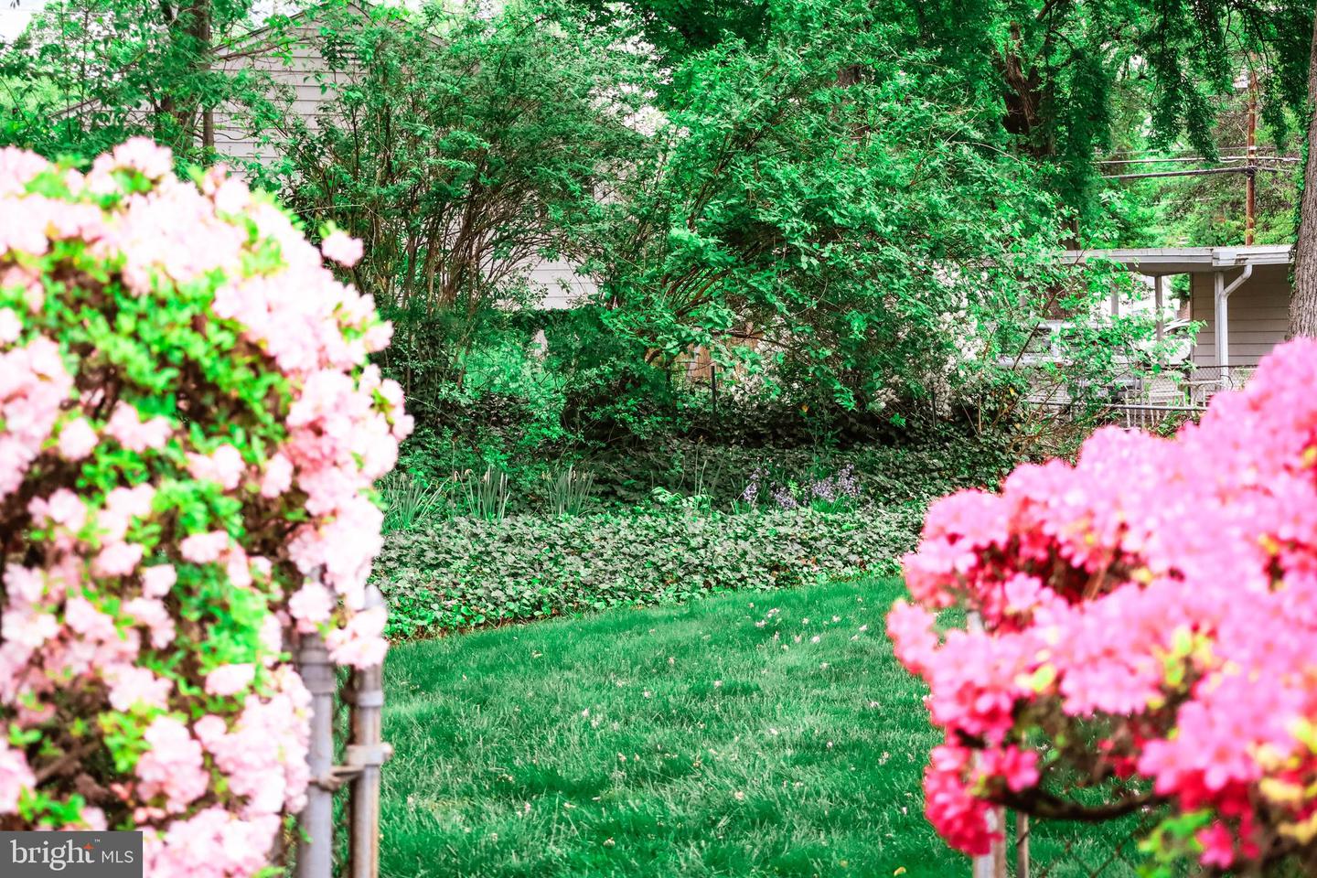 7124 WADE PL, FALLS CHURCH, Virginia 22042, 3 Bedrooms Bedrooms, 11 Rooms Rooms,2 BathroomsBathrooms,Residential,For sale,7124 WADE PL,VAFX2274674 MLS # VAFX2274674 7124 WADE PL, FALLS CHURCH, Virginia 22042, 3 Bedrooms Bedrooms, 11 Rooms Rooms,2 BathroomsBathrooms,Residential,For sale,7124 WADE PL,VAFX2274674 MLS # VAFX2274674