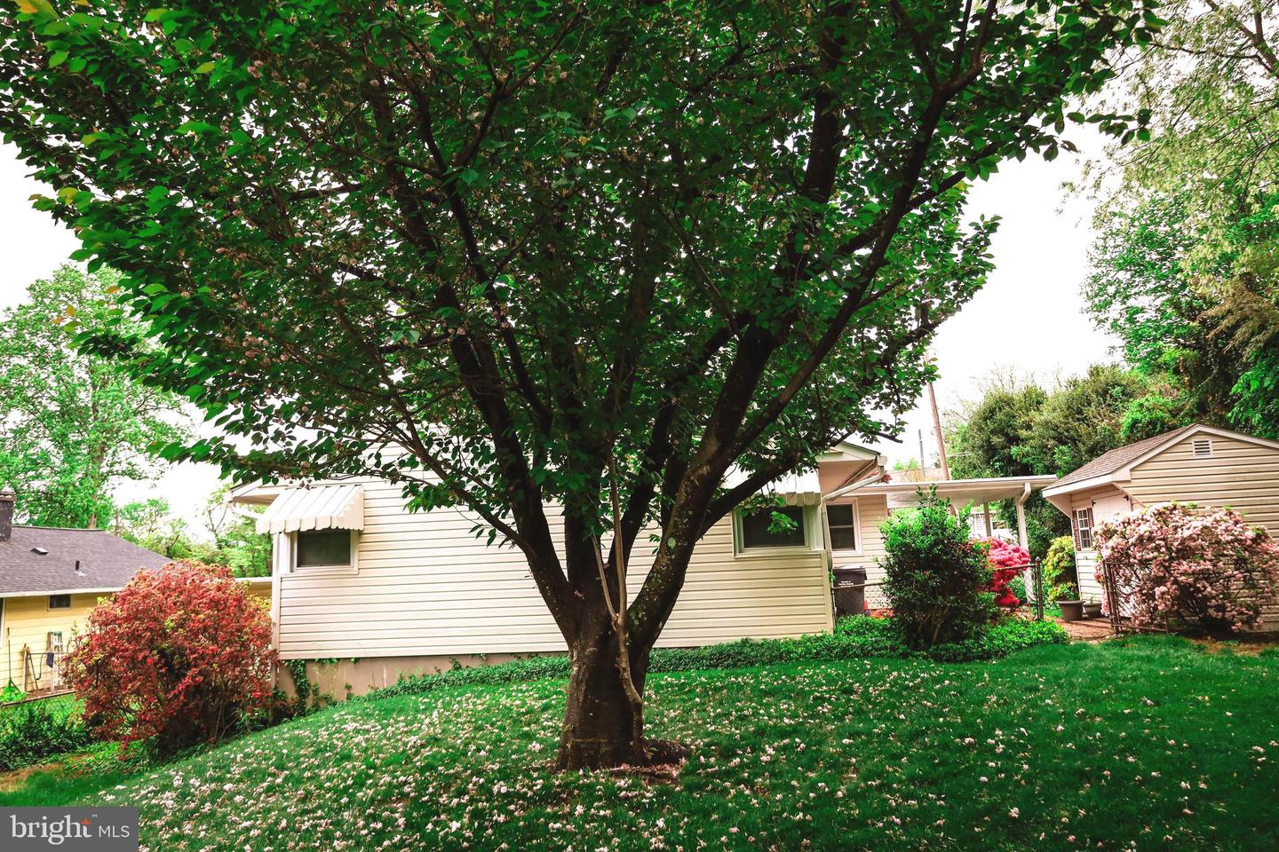 7124 WADE PL, FALLS CHURCH, Virginia 22042, 3 Bedrooms Bedrooms, 11 Rooms Rooms,2 BathroomsBathrooms,Residential,For sale,7124 WADE PL,VAFX2274674 MLS # VAFX2274674 7124 WADE PL, FALLS CHURCH, Virginia 22042, 3 Bedrooms Bedrooms, 11 Rooms Rooms,2 BathroomsBathrooms,Residential,For sale,7124 WADE PL,VAFX2274674 MLS # VAFX2274674