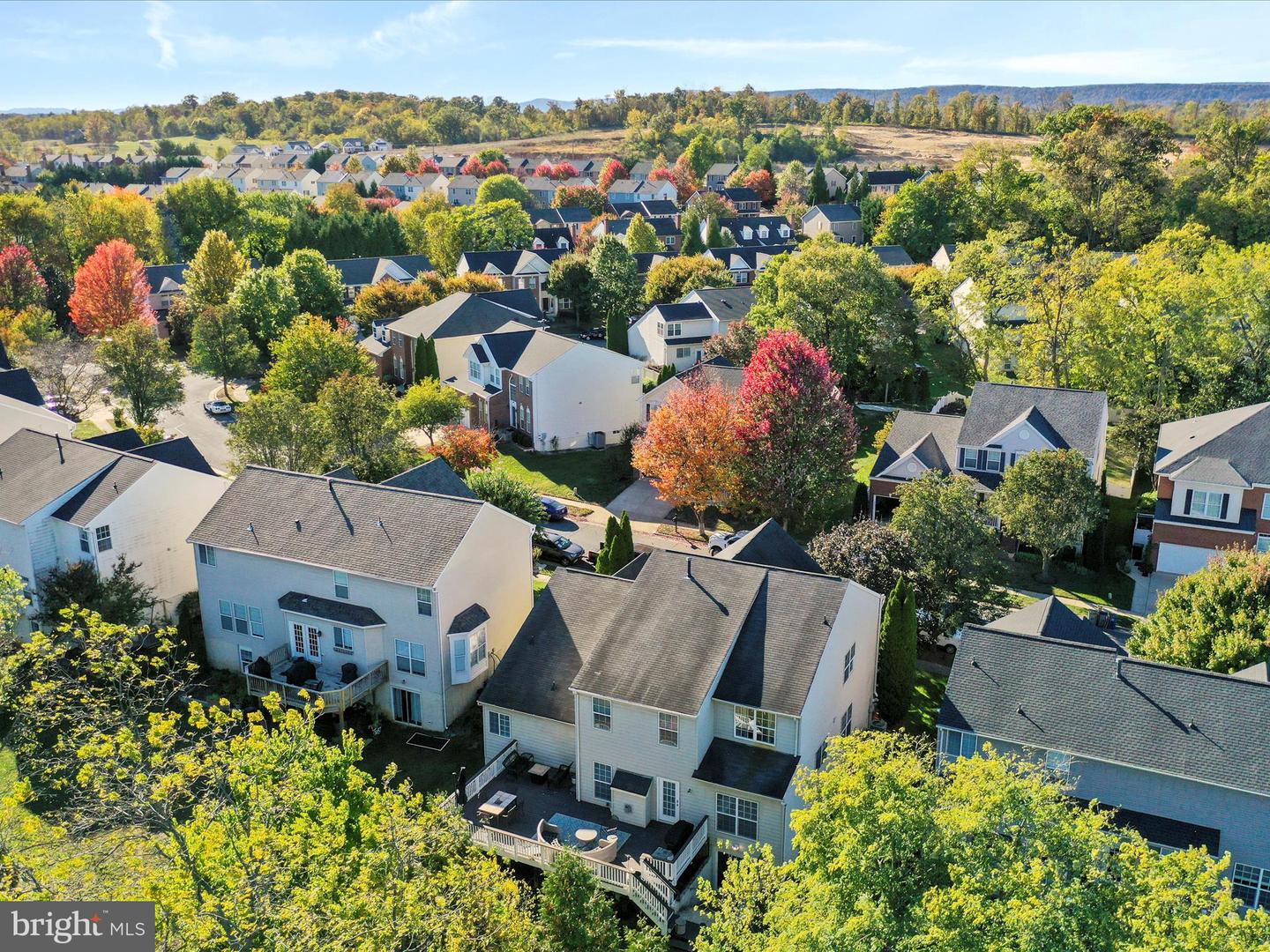 930 WAYNE DR, WINCHESTER, Virginia 22601, 4 Bedrooms Bedrooms, ,3 BathroomsBathrooms,Residential,For sale,930 WAYNE DR,VAWI2009280 MLS # VAWI2009280 930 WAYNE DR, WINCHESTER, Virginia 22601, 4 Bedrooms Bedrooms, ,3 BathroomsBathrooms,Residential,For sale,930 WAYNE DR,VAWI2009280 MLS # VAWI2009280
