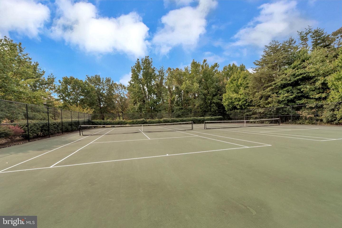 7708-C HAYNES POINT WAY #9C, ALEXANDRIA, Virginia 22315, 3 Bedrooms Bedrooms, ,2 BathroomsBathrooms,Residential,For sale,7708-C HAYNES POINT WAY #9C,VAFX2275852 MLS # VAFX2275852 7708-C HAYNES POINT WAY #9C, ALEXANDRIA, Virginia 22315, 3 Bedrooms Bedrooms, ,2 BathroomsBathrooms,Residential,For sale,7708-C HAYNES POINT WAY #9C,VAFX2275852 MLS # VAFX2275852