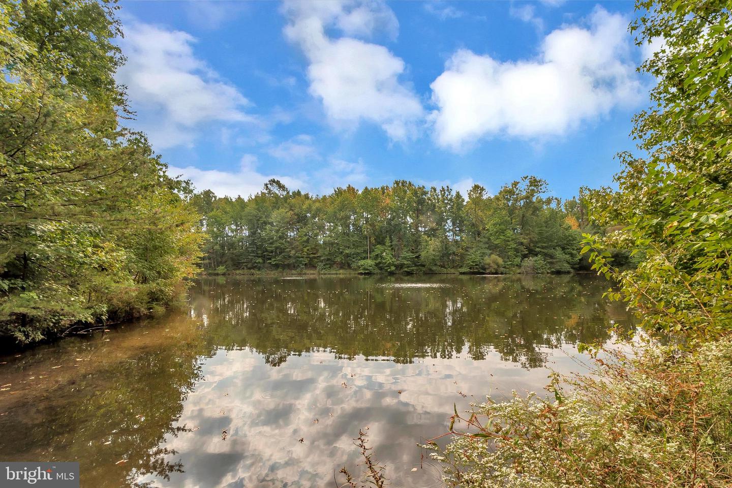 7708-C HAYNES POINT WAY #9C, ALEXANDRIA, Virginia 22315, 3 Bedrooms Bedrooms, ,2 BathroomsBathrooms,Residential,For sale,7708-C HAYNES POINT WAY #9C,VAFX2275852 MLS # VAFX2275852 7708-C HAYNES POINT WAY #9C, ALEXANDRIA, Virginia 22315, 3 Bedrooms Bedrooms, ,2 BathroomsBathrooms,Residential,For sale,7708-C HAYNES POINT WAY #9C,VAFX2275852 MLS # VAFX2275852