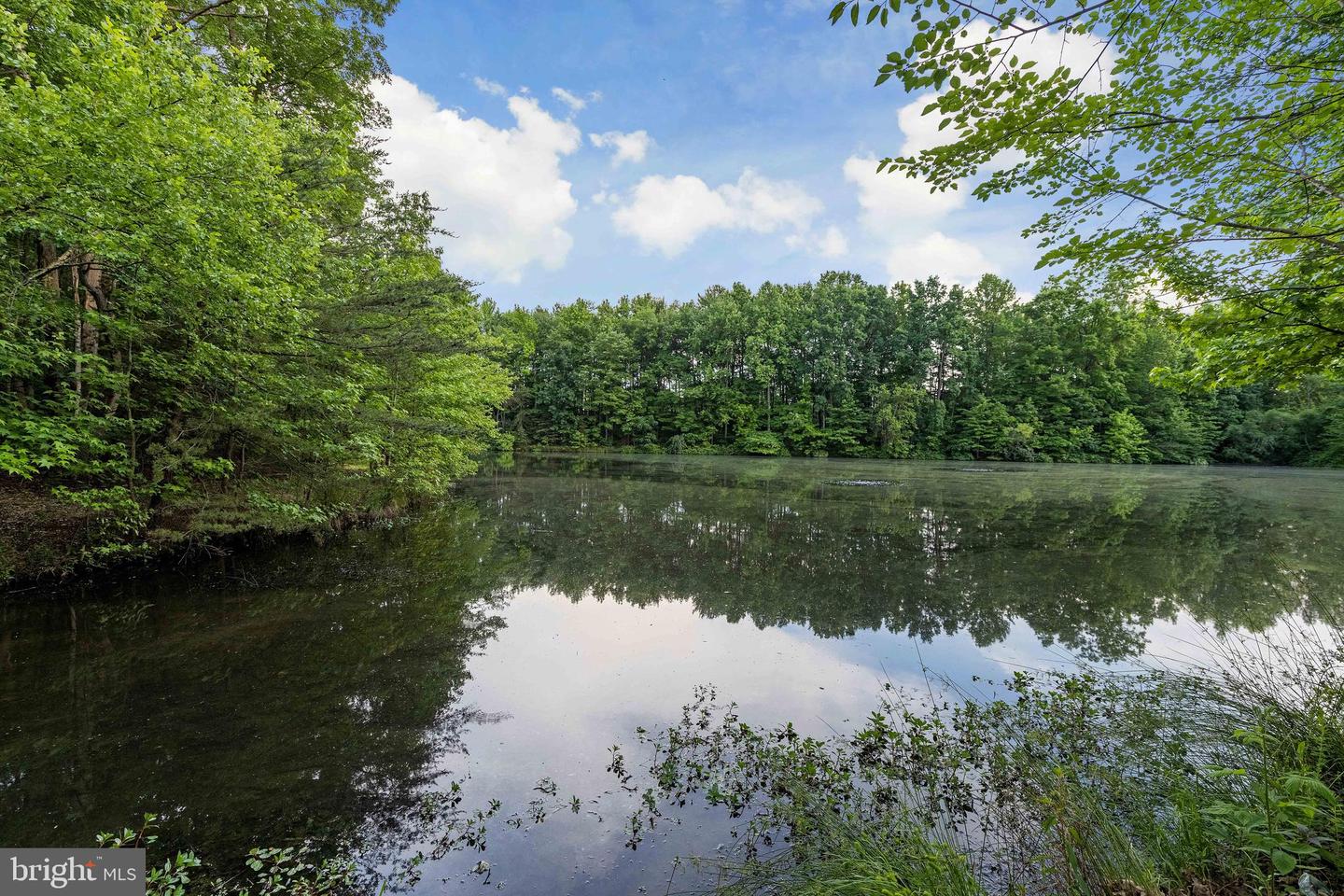 7708-C HAYNES POINT WAY #9C, ALEXANDRIA, Virginia 22315, 3 Bedrooms Bedrooms, ,2 BathroomsBathrooms,Residential,For sale,7708-C HAYNES POINT WAY #9C,VAFX2275852 MLS # VAFX2275852 7708-C HAYNES POINT WAY #9C, ALEXANDRIA, Virginia 22315, 3 Bedrooms Bedrooms, ,2 BathroomsBathrooms,Residential,For sale,7708-C HAYNES POINT WAY #9C,VAFX2275852 MLS # VAFX2275852