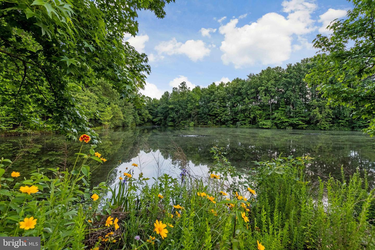 7708-C HAYNES POINT WAY #9C, ALEXANDRIA, Virginia 22315, 3 Bedrooms Bedrooms, ,2 BathroomsBathrooms,Residential,For sale,7708-C HAYNES POINT WAY #9C,VAFX2275852 MLS # VAFX2275852 7708-C HAYNES POINT WAY #9C, ALEXANDRIA, Virginia 22315, 3 Bedrooms Bedrooms, ,2 BathroomsBathrooms,Residential,For sale,7708-C HAYNES POINT WAY #9C,VAFX2275852 MLS # VAFX2275852