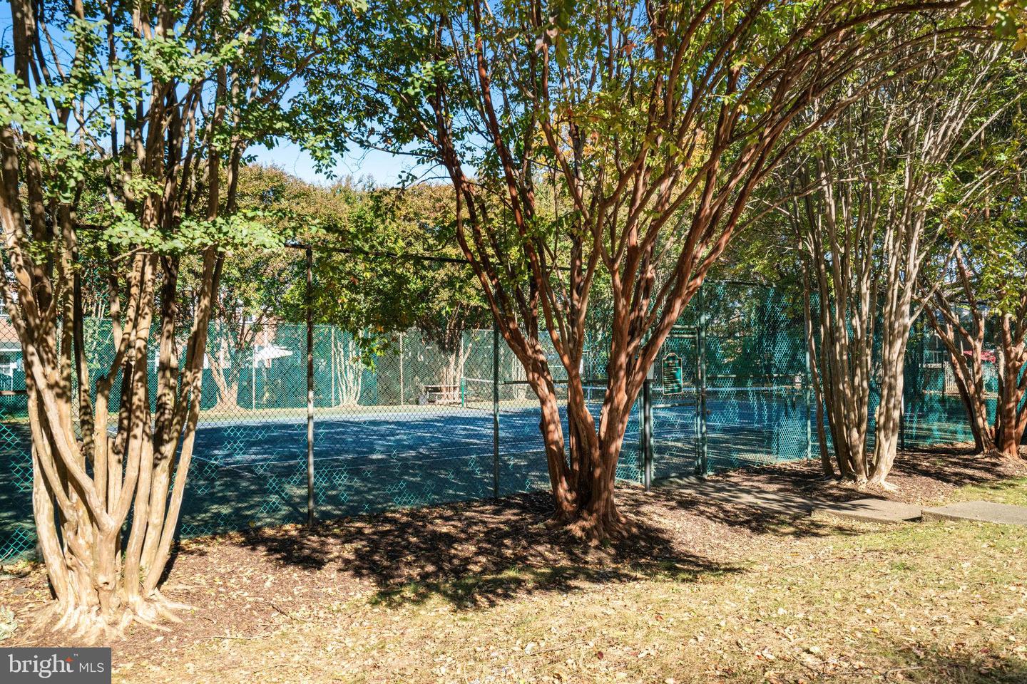 3622 S TAYLOR ST, ARLINGTON, Virginia 22206, 2 Bedrooms Bedrooms, ,2 BathroomsBathrooms,Residential,For sale,3622 S TAYLOR ST,VAAR2065390 MLS # VAAR2065390 3622 S TAYLOR ST, ARLINGTON, Virginia 22206, 2 Bedrooms Bedrooms, ,2 BathroomsBathrooms,Residential,For sale,3622 S TAYLOR ST,VAAR2065390 MLS # VAAR2065390