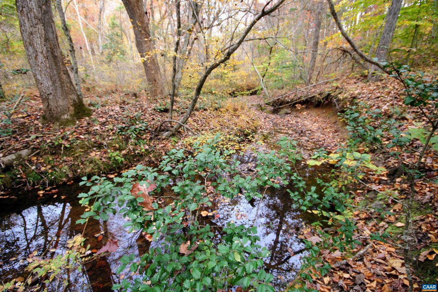 TBA RIDGE RD #1, ARVONIA, Virginia 23004, ,Land,For sale,TBA RIDGE RD #1,670563 MLS # 670563 TBA RIDGE RD #1, ARVONIA, Virginia 23004, ,Land,For sale,TBA RIDGE RD #1,670563 MLS # 670563