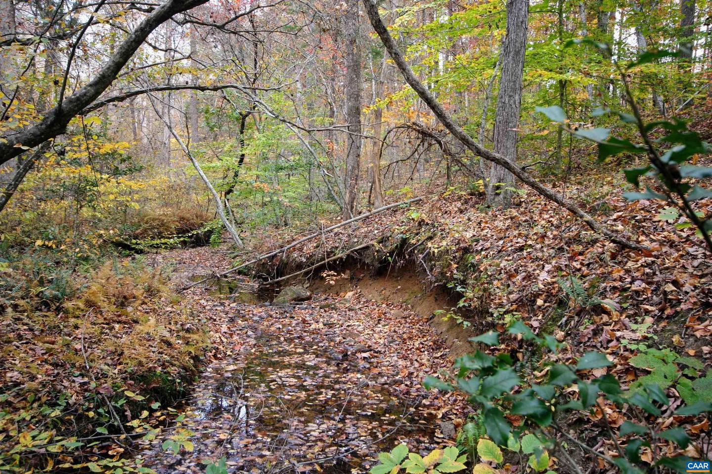 TBA RIDGE RD #1, ARVONIA, Virginia 23004, ,Land,For sale,TBA RIDGE RD #1,670563 MLS # 670563 TBA RIDGE RD #1, ARVONIA, Virginia 23004, ,Land,For sale,TBA RIDGE RD #1,670563 MLS # 670563