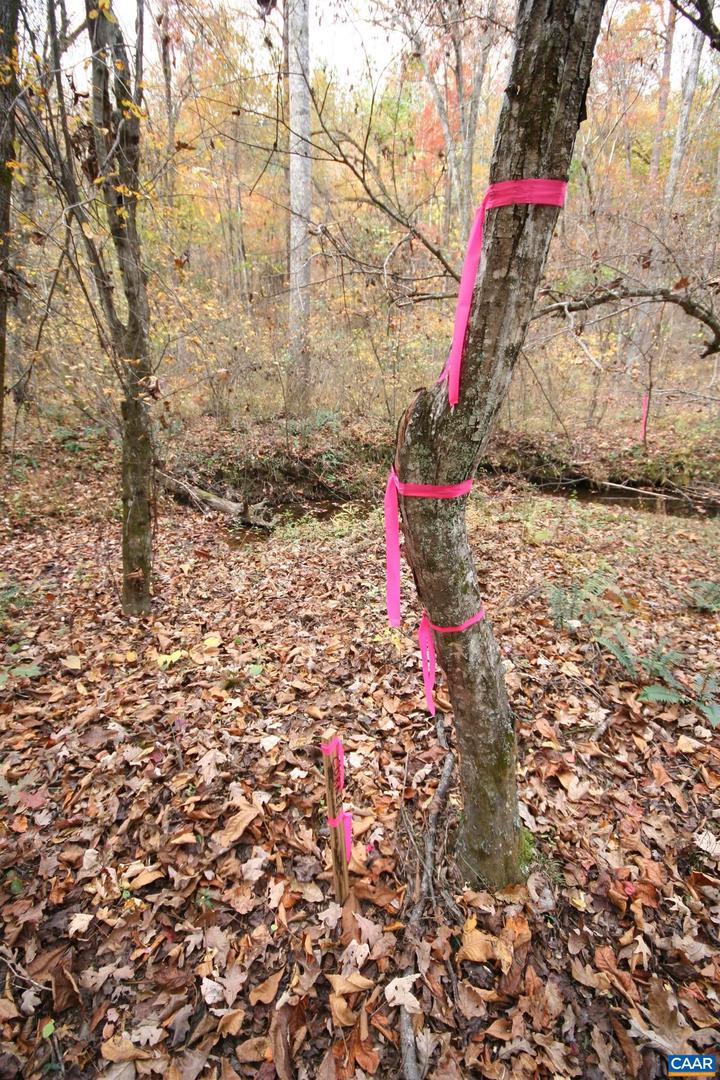 TBA RIDGE RD #1, ARVONIA, Virginia 23004, ,Land,For sale,TBA RIDGE RD #1,670563 MLS # 670563 TBA RIDGE RD #1, ARVONIA, Virginia 23004, ,Land,For sale,TBA RIDGE RD #1,670563 MLS # 670563