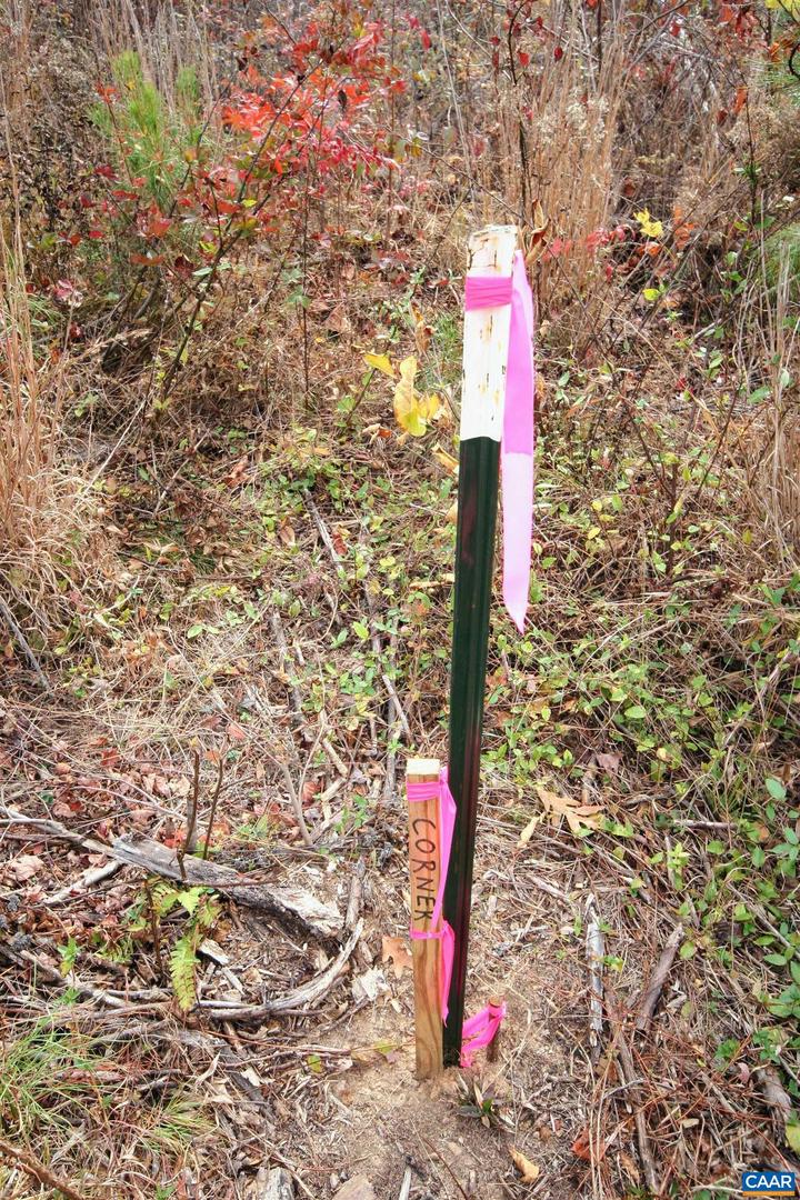 TBA RIDGE RD #1, ARVONIA, Virginia 23004, ,Land,For sale,TBA RIDGE RD #1,670563 MLS # 670563 TBA RIDGE RD #1, ARVONIA, Virginia 23004, ,Land,For sale,TBA RIDGE RD #1,670563 MLS # 670563