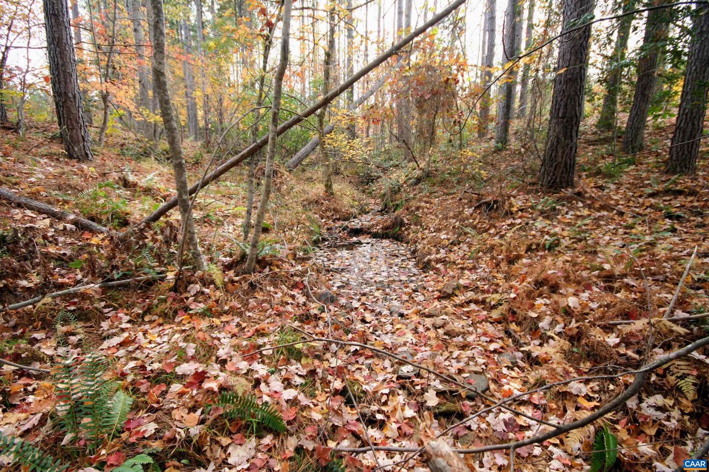 TBA RIDGE RD #1, ARVONIA, Virginia 23004, ,Land,For sale,TBA RIDGE RD #1,670563 MLS # 670563 TBA RIDGE RD #1, ARVONIA, Virginia 23004, ,Land,For sale,TBA RIDGE RD #1,670563 MLS # 670563