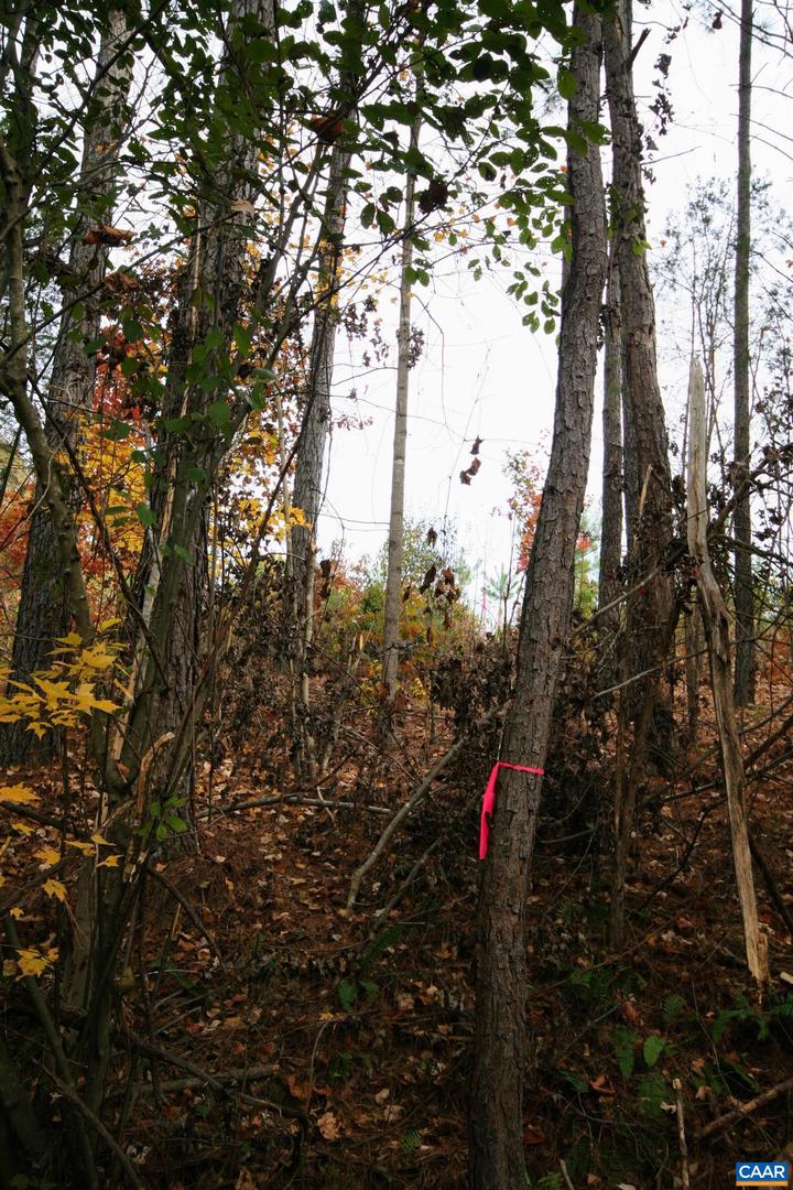 TBA RIDGE RD #1, ARVONIA, Virginia 23004, ,Land,For sale,TBA RIDGE RD #1,670563 MLS # 670563 TBA RIDGE RD #1, ARVONIA, Virginia 23004, ,Land,For sale,TBA RIDGE RD #1,670563 MLS # 670563