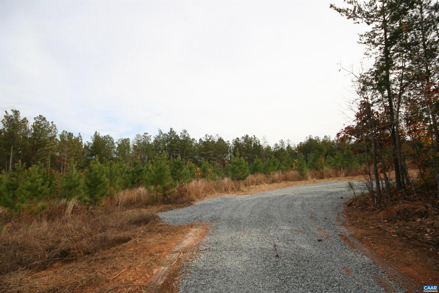 TBA RIDGE RD #1, ARVONIA, Virginia 23004, ,Land,For sale,TBA RIDGE RD #1,670563 MLS # 670563 TBA RIDGE RD #1, ARVONIA, Virginia 23004, ,Land,For sale,TBA RIDGE RD #1,670563 MLS # 670563