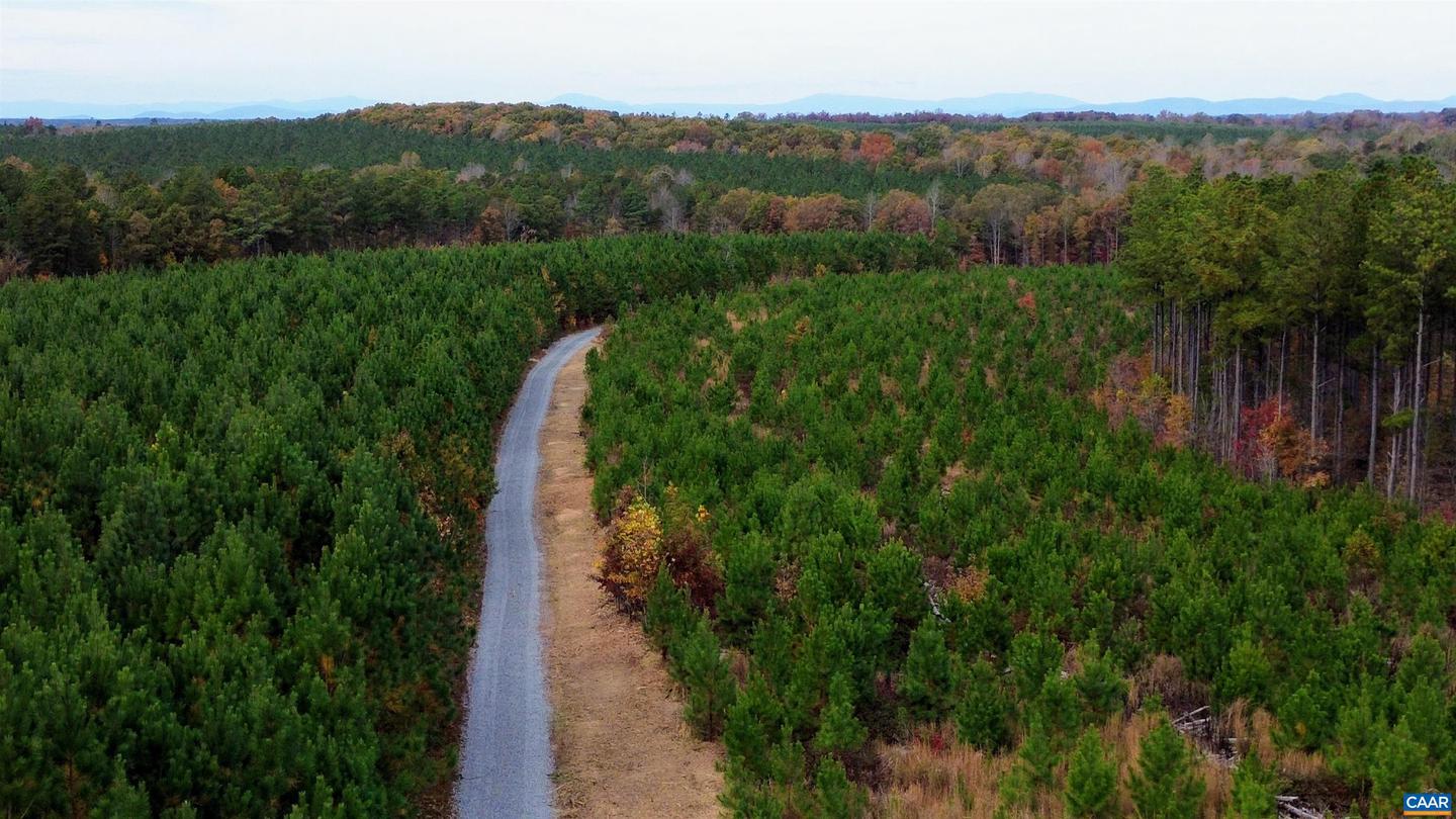 TBA RIDGE RD #1, ARVONIA, Virginia 23004, ,Land,For sale,TBA RIDGE RD #1,670563 MLS # 670563 TBA RIDGE RD #1, ARVONIA, Virginia 23004, ,Land,For sale,TBA RIDGE RD #1,670563 MLS # 670563