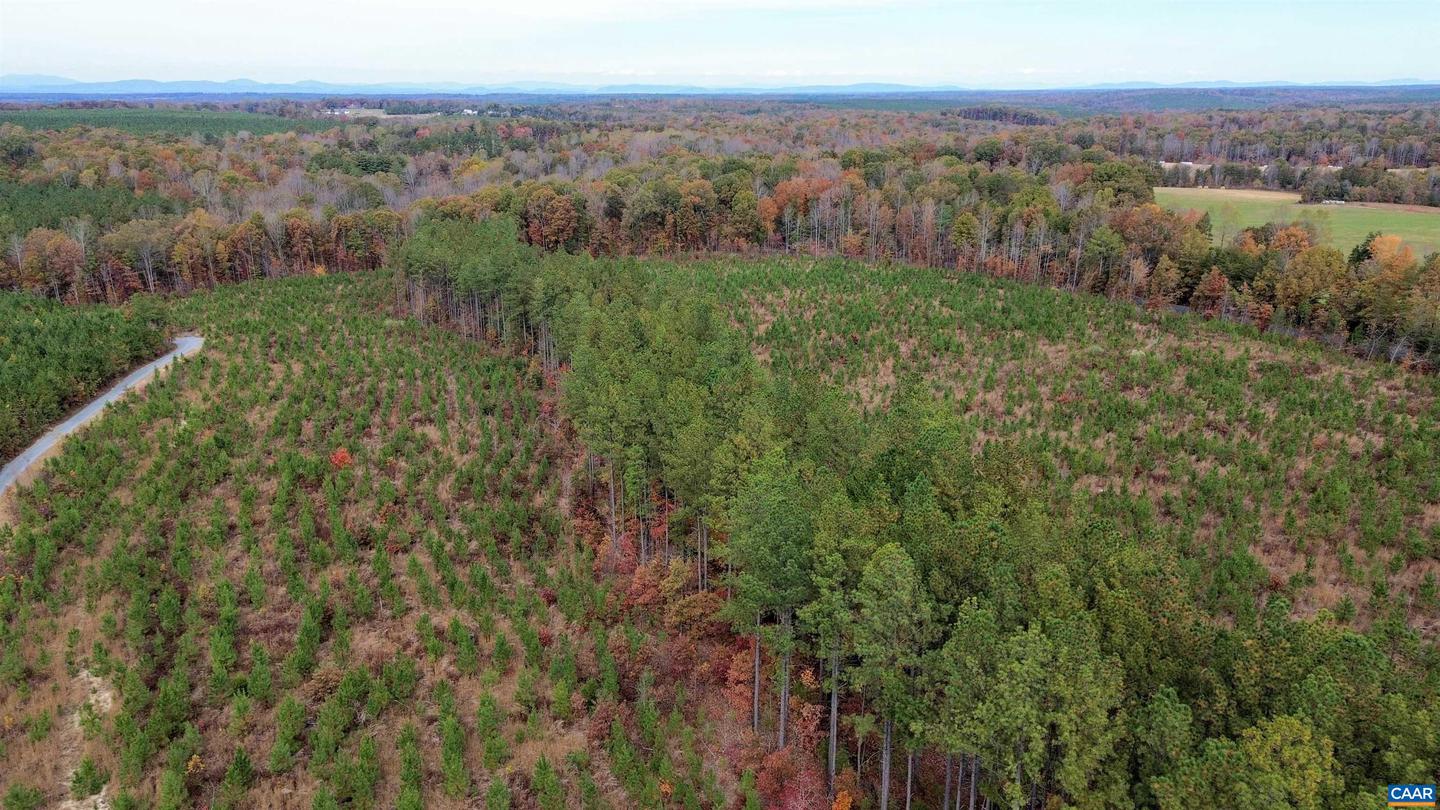 TBA RIDGE RD #1, ARVONIA, Virginia 23004, ,Land,For sale,TBA RIDGE RD #1,670563 MLS # 670563 TBA RIDGE RD #1, ARVONIA, Virginia 23004, ,Land,For sale,TBA RIDGE RD #1,670563 MLS # 670563