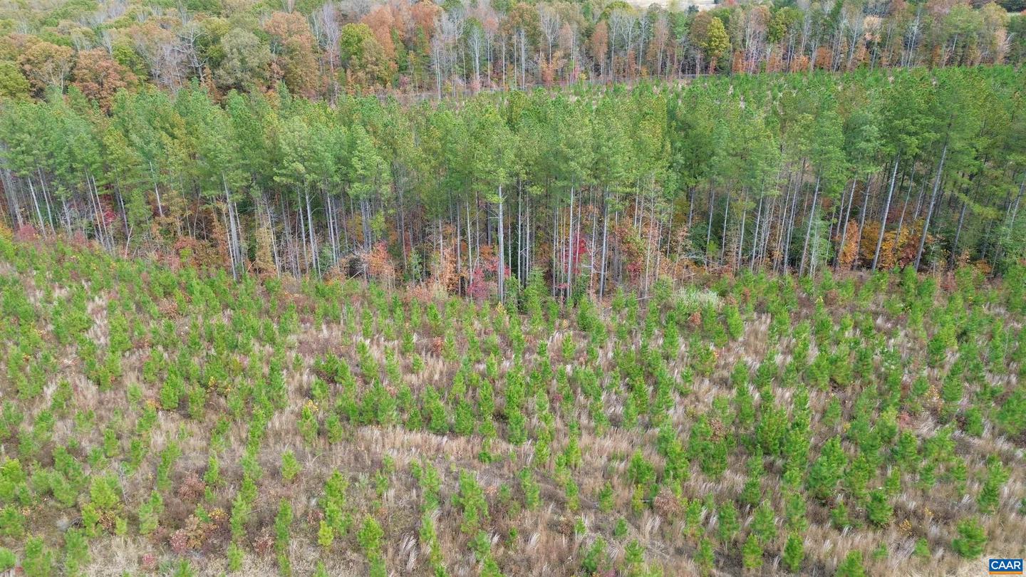 TBA RIDGE RD #1, ARVONIA, Virginia 23004, ,Land,For sale,TBA RIDGE RD #1,670563 MLS # 670563 TBA RIDGE RD #1, ARVONIA, Virginia 23004, ,Land,For sale,TBA RIDGE RD #1,670563 MLS # 670563