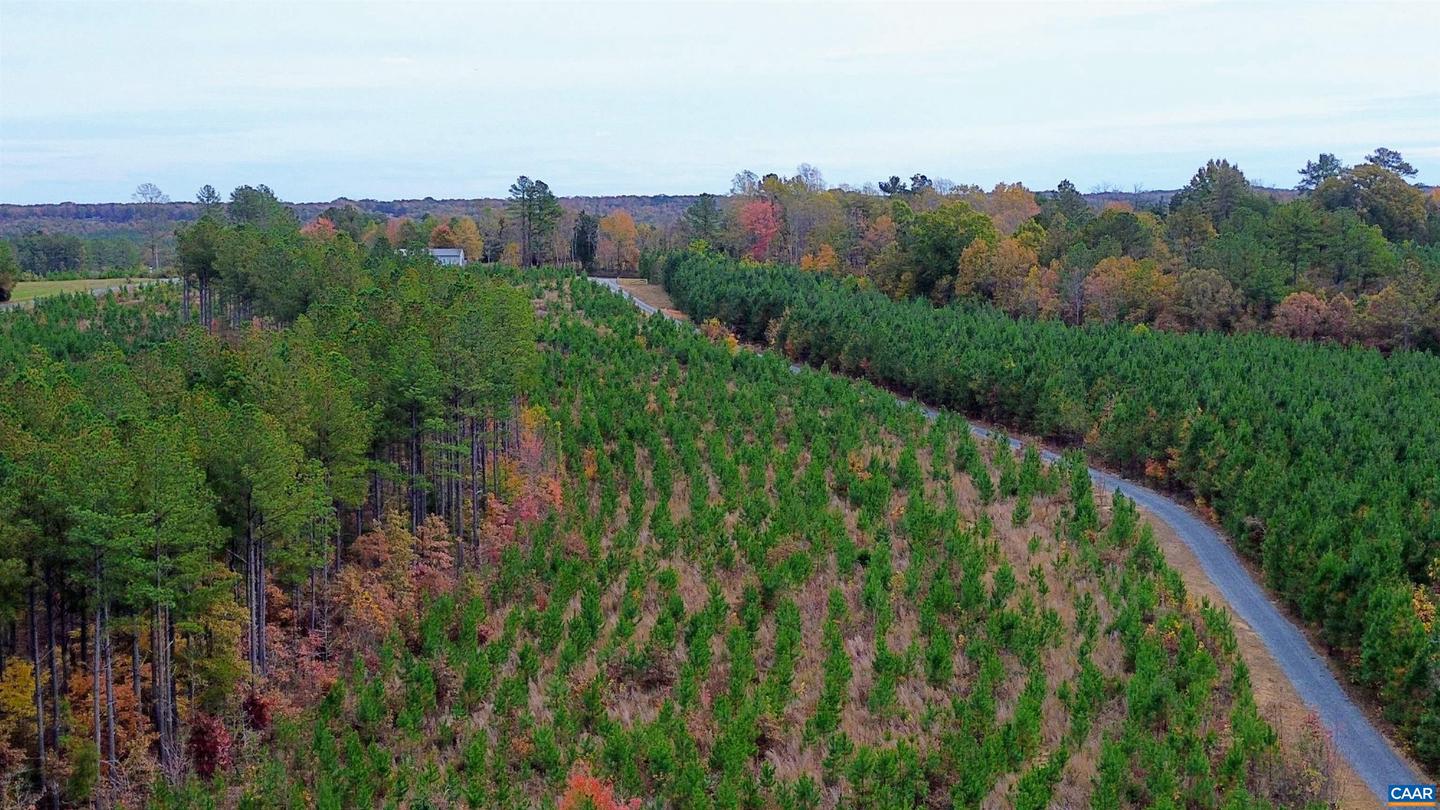 TBA RIDGE RD #1, ARVONIA, Virginia 23004, ,Land,For sale,TBA RIDGE RD #1,670563 MLS # 670563 TBA RIDGE RD #1, ARVONIA, Virginia 23004, ,Land,For sale,TBA RIDGE RD #1,670563 MLS # 670563