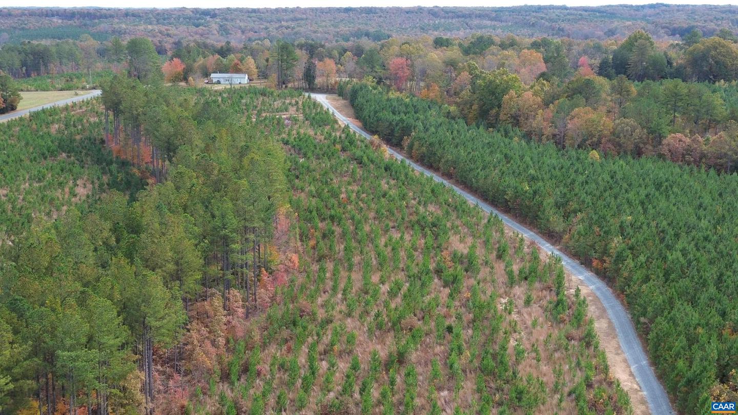 TBA RIDGE RD #1, ARVONIA, Virginia 23004, ,Land,For sale,TBA RIDGE RD #1,670563 MLS # 670563 TBA RIDGE RD #1, ARVONIA, Virginia 23004, ,Land,For sale,TBA RIDGE RD #1,670563 MLS # 670563