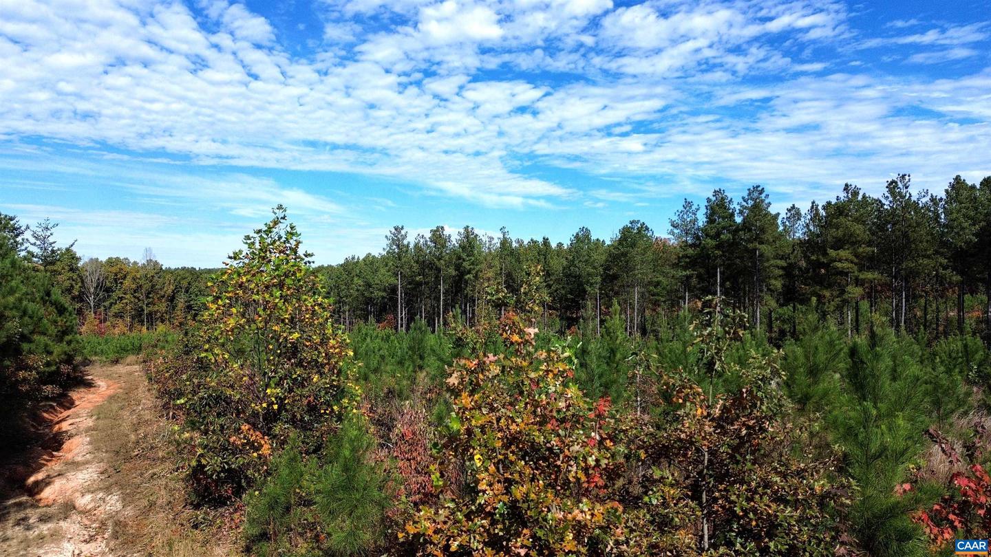 TBA RIDGE RD #1, ARVONIA, Virginia 23004, ,Land,For sale,TBA RIDGE RD #1,670563 MLS # 670563 TBA RIDGE RD #1, ARVONIA, Virginia 23004, ,Land,For sale,TBA RIDGE RD #1,670563 MLS # 670563