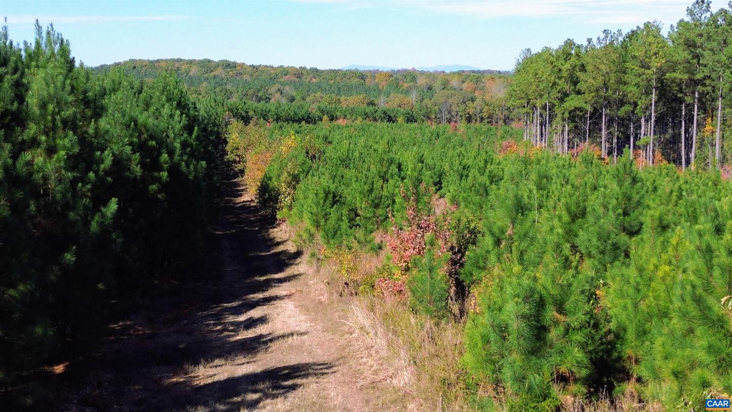 TBA RIDGE RD #1, ARVONIA, Virginia 23004, ,Land,For sale,TBA RIDGE RD #1,670563 MLS # 670563 TBA RIDGE RD #1, ARVONIA, Virginia 23004, ,Land,For sale,TBA RIDGE RD #1,670563 MLS # 670563