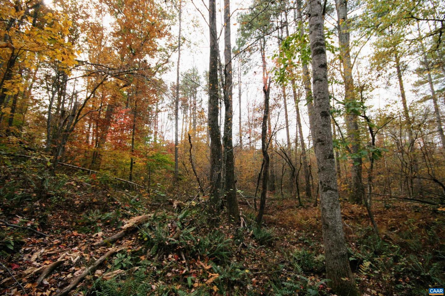 TBA RIDGE RD #1, ARVONIA, Virginia 23004, ,Land,For sale,TBA RIDGE RD #1,670563 MLS # 670563 TBA RIDGE RD #1, ARVONIA, Virginia 23004, ,Land,For sale,TBA RIDGE RD #1,670563 MLS # 670563