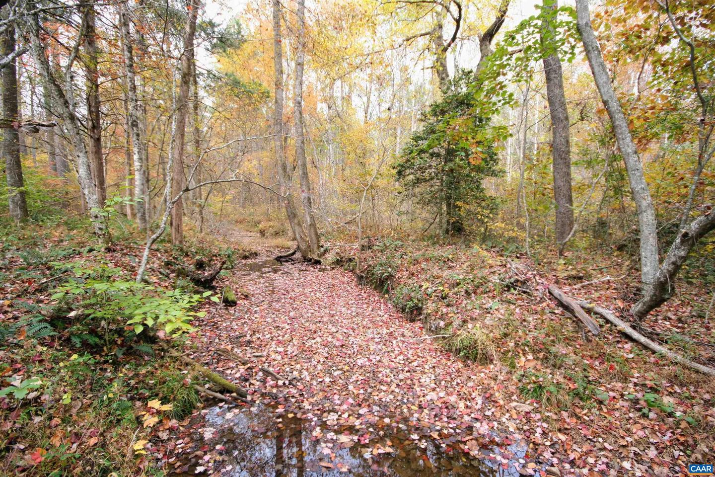 TBA RIDGE RD #1, ARVONIA, Virginia 23004, ,Land,For sale,TBA RIDGE RD #1,670563 MLS # 670563 TBA RIDGE RD #1, ARVONIA, Virginia 23004, ,Land,For sale,TBA RIDGE RD #1,670563 MLS # 670563