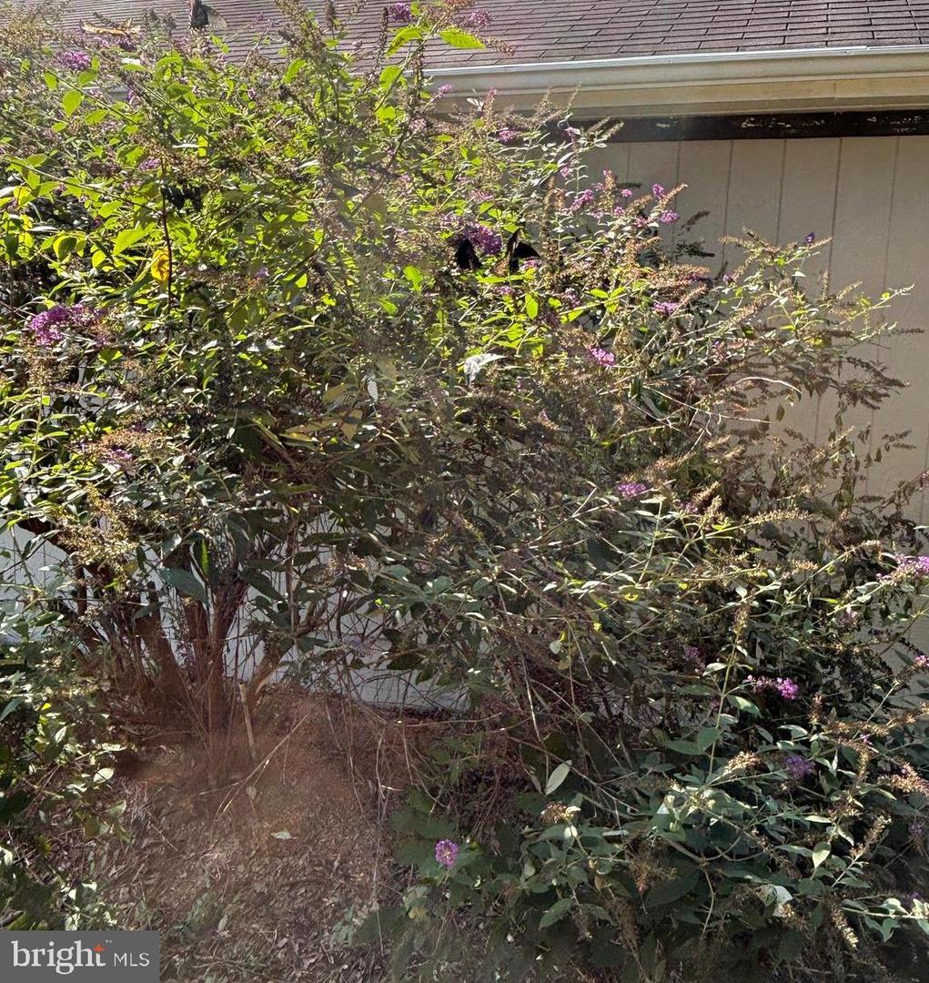 5084 FAIRVIEW LN, BROAD RUN, Virginia 20137, 4 Bedrooms Bedrooms, 7 Rooms Rooms,3 BathroomsBathrooms,Residential,For sale,5084 FAIRVIEW LN,VAFQ2018478 MLS # VAFQ2018478 5084 FAIRVIEW LN, BROAD RUN, Virginia 20137, 4 Bedrooms Bedrooms, 7 Rooms Rooms,3 BathroomsBathrooms,Residential,For sale,5084 FAIRVIEW LN,VAFQ2018478 MLS # VAFQ2018478