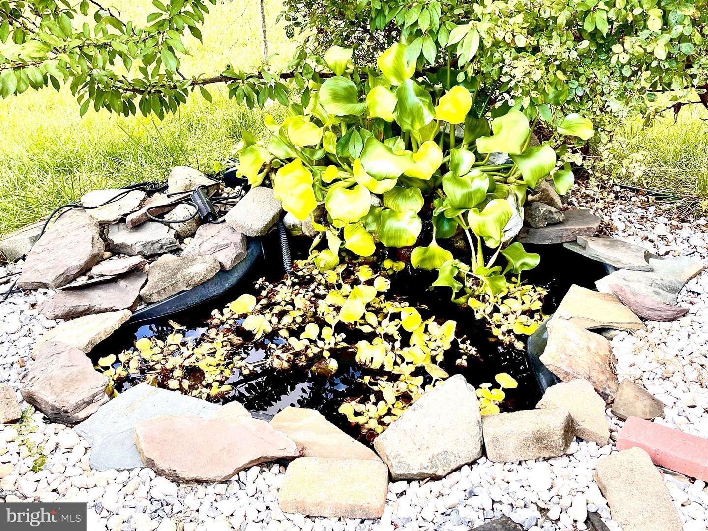 10240 INCHBERRY CT, BRISTOW, Virginia 20136, 4 Bedrooms Bedrooms, ,4 BathroomsBathrooms,Residential,For sale,10240 INCHBERRY CT,VAPW2105878 MLS # VAPW2105878 10240 INCHBERRY CT, BRISTOW, Virginia 20136, 4 Bedrooms Bedrooms, ,4 BathroomsBathrooms,Residential,For sale,10240 INCHBERRY CT,VAPW2105878 MLS # VAPW2105878