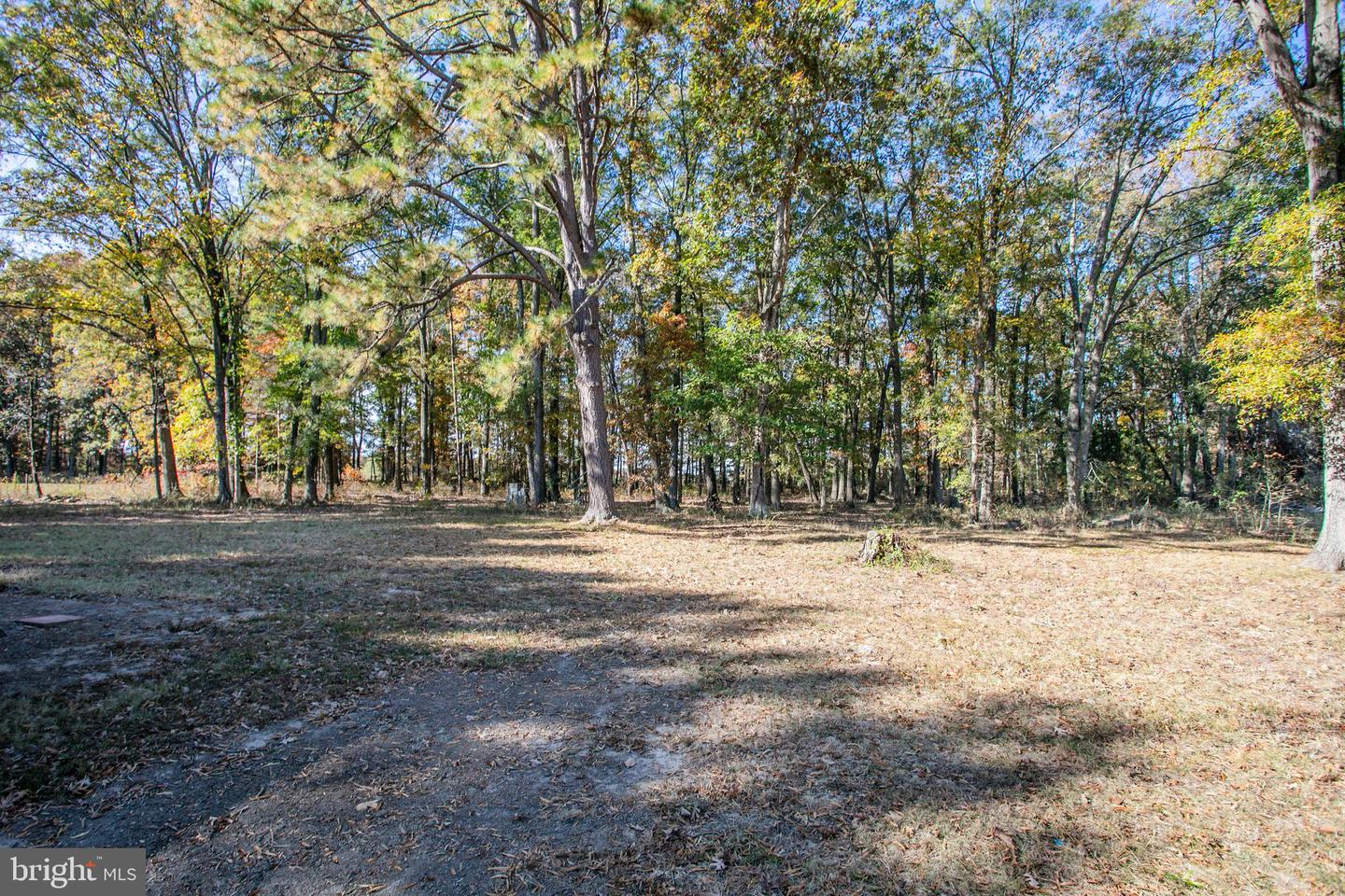 20126 BATNA RD, CULPEPER, Virginia 22701, 3 Bedrooms Bedrooms, ,2 BathroomsBathrooms,Residential,For sale,20126 BATNA RD,VACU2011798 MLS # VACU2011798 20126 BATNA RD, CULPEPER, Virginia 22701, 3 Bedrooms Bedrooms, ,2 BathroomsBathrooms,Residential,For sale,20126 BATNA RD,VACU2011798 MLS # VACU2011798