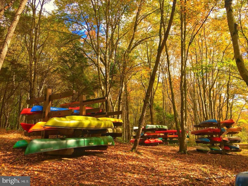 11906 OLD ELM CT, SPOTSYLVANIA, Virginia 22551, 4 Bedrooms Bedrooms, ,4 BathroomsBathrooms,Residential,For sale,11906 OLD ELM CT,VASP2037218 MLS # VASP2037218 11906 OLD ELM CT, SPOTSYLVANIA, Virginia 22551, 4 Bedrooms Bedrooms, ,4 BathroomsBathrooms,Residential,For sale,11906 OLD ELM CT,VASP2037218 MLS # VASP2037218