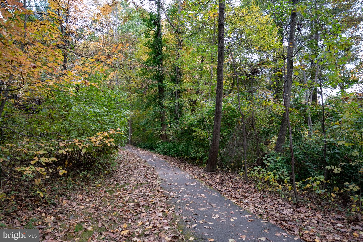 10139 WOOD GREEN WAY, BURKE, Virginia 22015, 3 Bedrooms Bedrooms, ,3 BathroomsBathrooms,Residential,For sale,10139 WOOD GREEN WAY,VAFX2276448 MLS # VAFX2276448