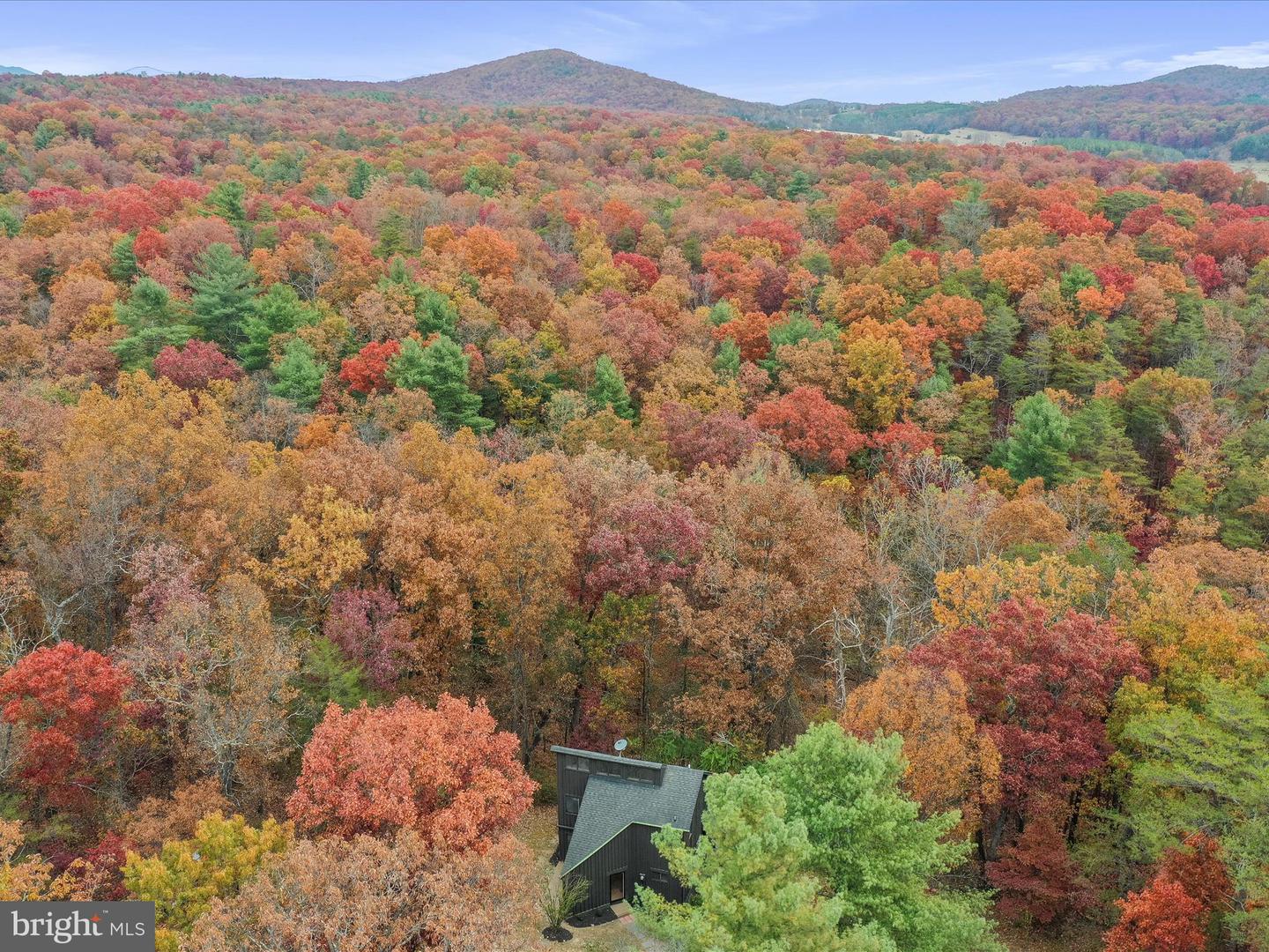 290 HICKORY LN, MOUNT JACKSON, Virginia 22842, 3 Bedrooms Bedrooms, ,1 BathroomBathrooms,Residential,For sale,290 HICKORY LN,VASH2012878 MLS # VASH2012878