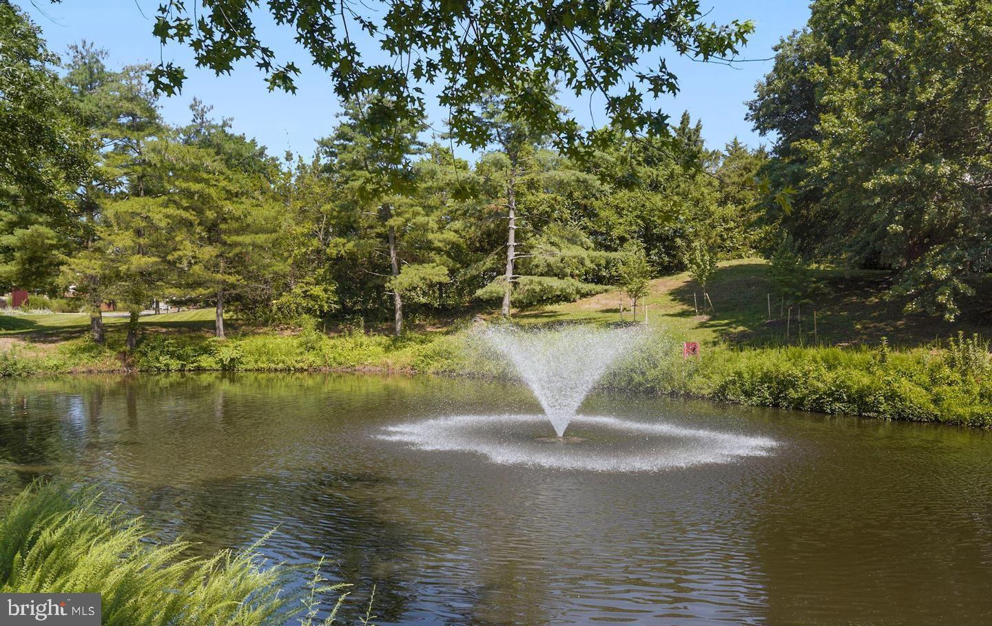 6111 ESSEX HOUSE SQ #B, ALEXANDRIA, Virginia 22310, 2 Bedrooms Bedrooms, 7 Rooms Rooms,1 BathroomBathrooms,Residential,For sale,6111 ESSEX HOUSE SQ #B,VAFX2276360 MLS # VAFX2276360 6111 ESSEX HOUSE SQ #B, ALEXANDRIA, Virginia 22310, 2 Bedrooms Bedrooms, 7 Rooms Rooms,1 BathroomBathrooms,Residential,For sale,6111 ESSEX HOUSE SQ #B,VAFX2276360 MLS # VAFX2276360