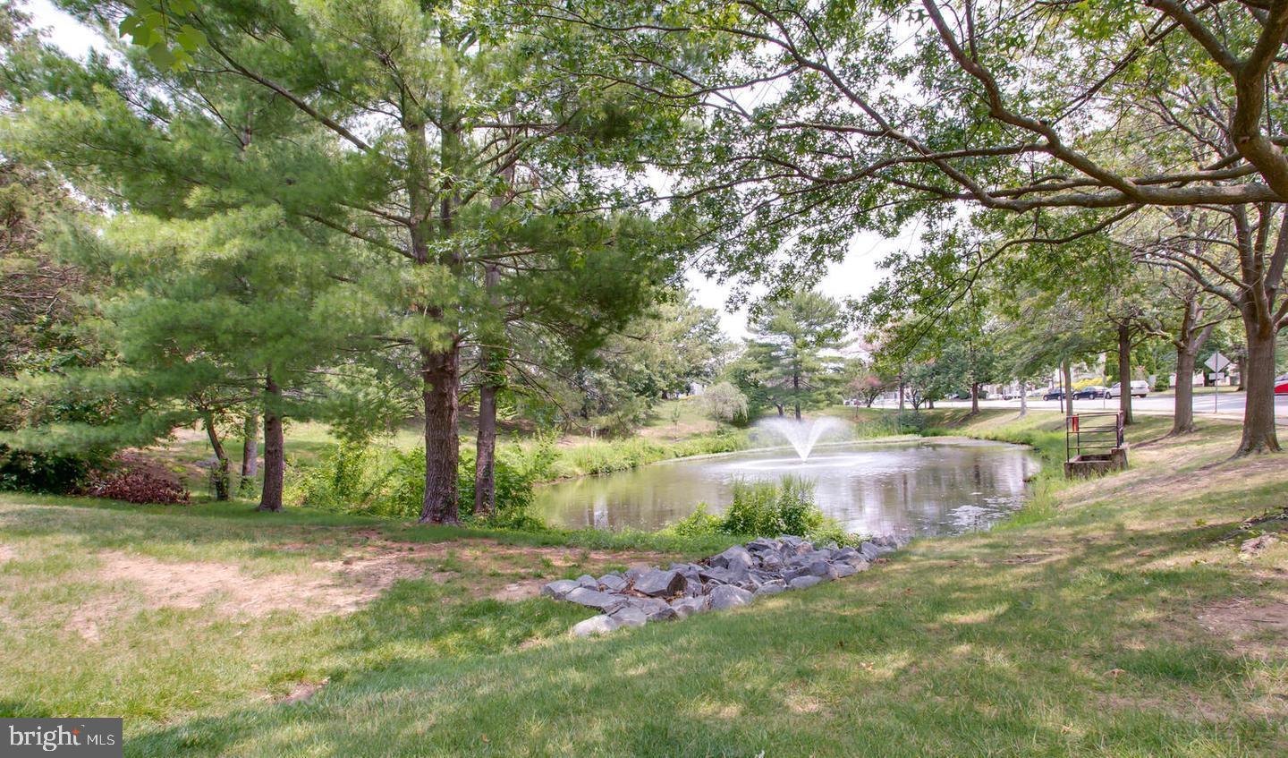 6111 ESSEX HOUSE SQ #B, ALEXANDRIA, Virginia 22310, 2 Bedrooms Bedrooms, 7 Rooms Rooms,1 BathroomBathrooms,Residential,For sale,6111 ESSEX HOUSE SQ #B,VAFX2276360 MLS # VAFX2276360 6111 ESSEX HOUSE SQ #B, ALEXANDRIA, Virginia 22310, 2 Bedrooms Bedrooms, 7 Rooms Rooms,1 BathroomBathrooms,Residential,For sale,6111 ESSEX HOUSE SQ #B,VAFX2276360 MLS # VAFX2276360