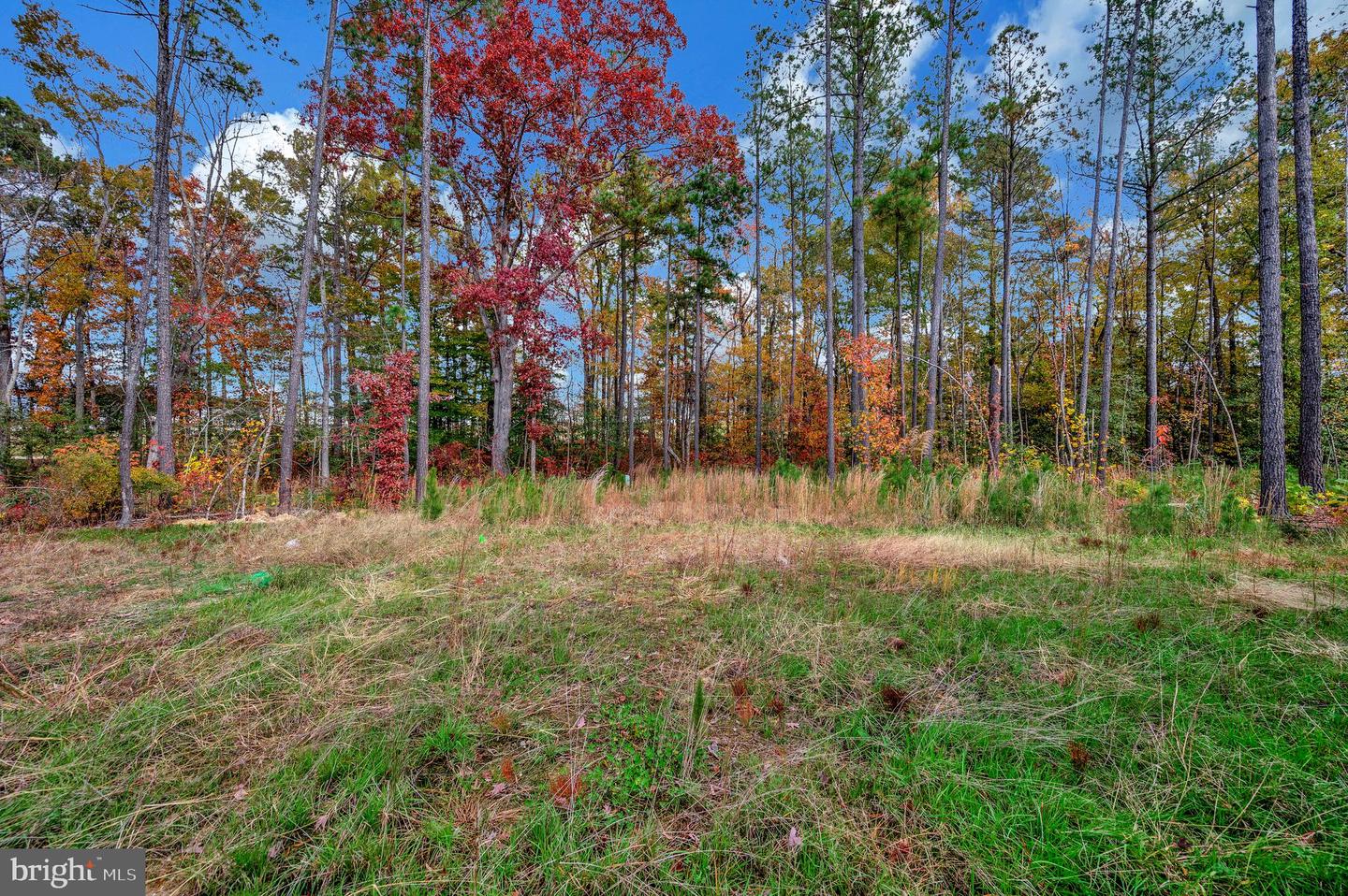 18379 HEWES TER, RUTHER GLEN, Virginia 22546, 3 Bedrooms Bedrooms, ,3 BathroomsBathrooms,Residential,For sale,18379 HEWES TER,VACV2009058 MLS # VACV2009058