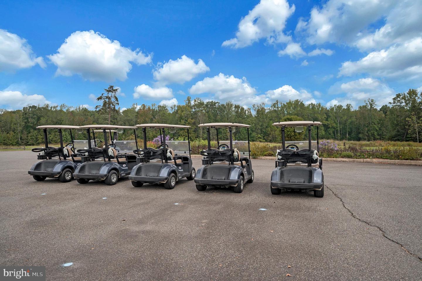 18379 HEWES TER, RUTHER GLEN, Virginia 22546, 3 Bedrooms Bedrooms, ,3 BathroomsBathrooms,Residential,For sale,18379 HEWES TER,VACV2009058 MLS # VACV2009058