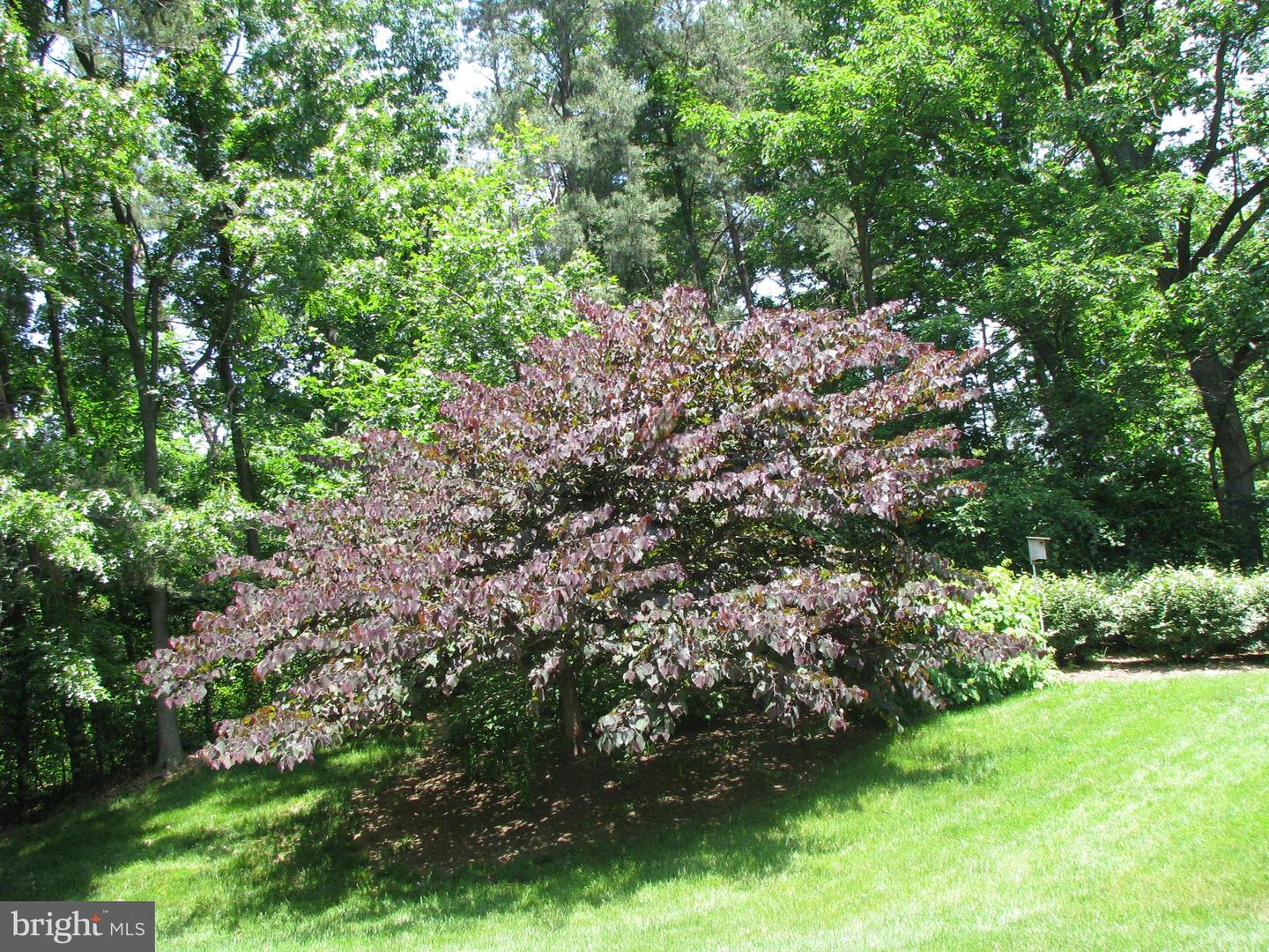 205 YOAKUM PKWY #1016, ALEXANDRIA, Virginia 22304, 1 Bedroom Bedrooms, ,1 BathroomBathrooms,Residential,For sale,205 YOAKUM PKWY #1016,VAAX2051234 MLS # VAAX2051234 205 YOAKUM PKWY #1016, ALEXANDRIA, Virginia 22304, 1 Bedroom Bedrooms, ,1 BathroomBathrooms,Residential,For sale,205 YOAKUM PKWY #1016,VAAX2051234 MLS # VAAX2051234