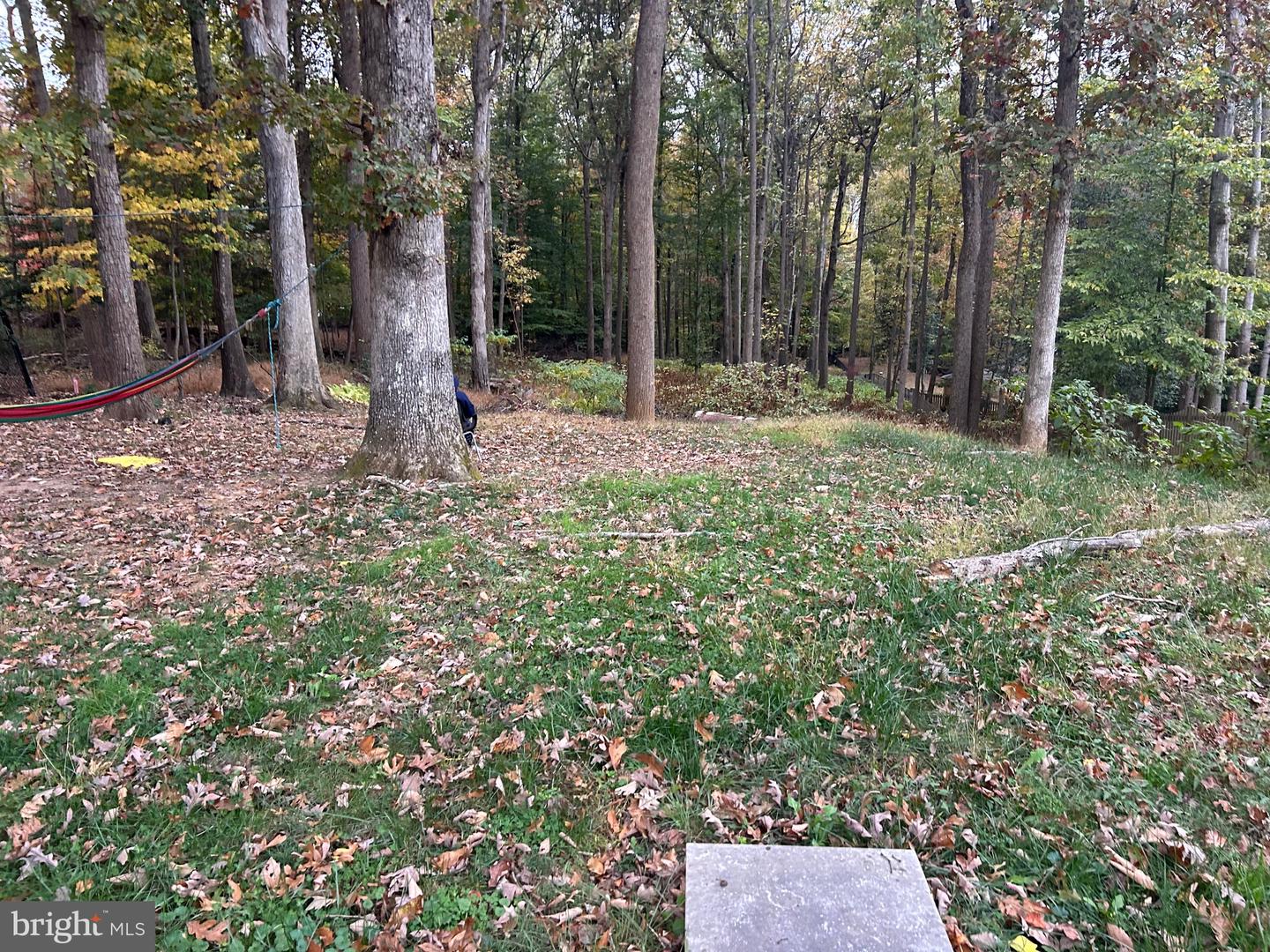 12704 PURCELL RD, MANASSAS, Virginia 20112, 4 Bedrooms Bedrooms, ,3 BathroomsBathrooms,Residential,For sale,12704 PURCELL RD,VAPW2106804 MLS # VAPW2106804 12704 PURCELL RD, MANASSAS, Virginia 20112, 4 Bedrooms Bedrooms, ,3 BathroomsBathrooms,Residential,For sale,12704 PURCELL RD,VAPW2106804 MLS # VAPW2106804