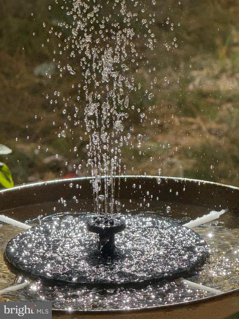 2317 FREETOWN CT #2B, RESTON, Virginia 20191, 2 Bedrooms Bedrooms, 5 Rooms Rooms,1 BathroomBathrooms,Residential,For sale,2317 FREETOWN CT #2B,VAFX2189798 MLS # VAFX2189798 2317 FREETOWN CT #2B, RESTON, Virginia 20191, 2 Bedrooms Bedrooms, 5 Rooms Rooms,1 BathroomBathrooms,Residential,For sale,2317 FREETOWN CT #2B,VAFX2189798 MLS # VAFX2189798