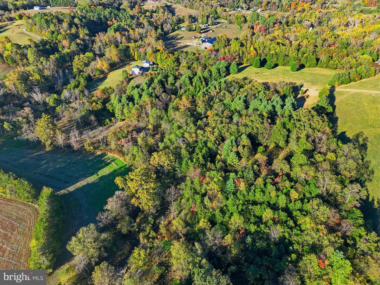 LOT 2 SEMINOLE, MADISON, Virginia 22727, ,Land,For sale,LOT 2 SEMINOLE,VAMA2002520 MLS # VAMA2002520 LOT 2 SEMINOLE, MADISON, Virginia 22727, ,Land,For sale,LOT 2 SEMINOLE,VAMA2002520 MLS # VAMA2002520