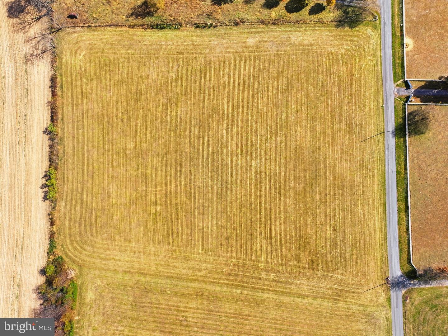 0 BAUSERMAN RD, MOUNT JACKSON, Virginia 22842, ,Land,For sale,0 BAUSERMAN RD,VASH2012894 MLS # VASH2012894 0 BAUSERMAN RD, MOUNT JACKSON, Virginia 22842, ,Land,For sale,0 BAUSERMAN RD,VASH2012894 MLS # VASH2012894